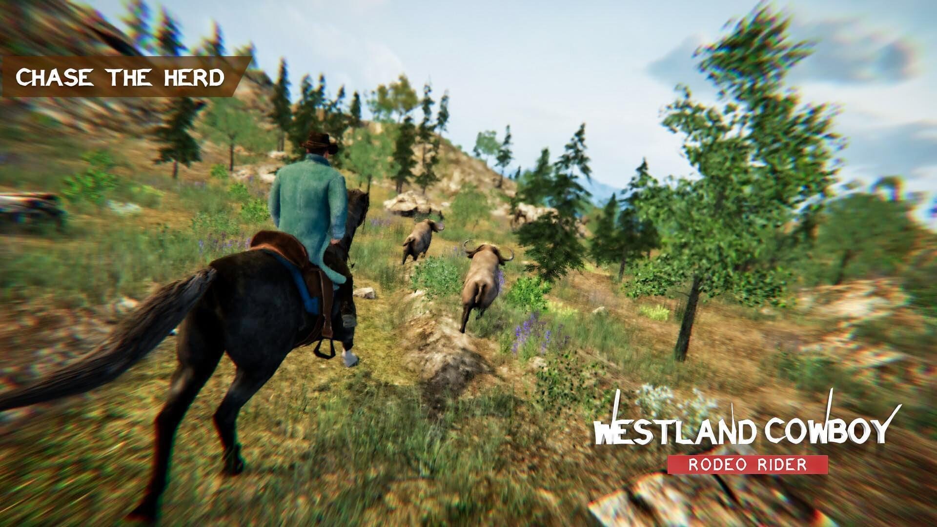 Westland Cowboy: Rodeo Rider - Screenshot
