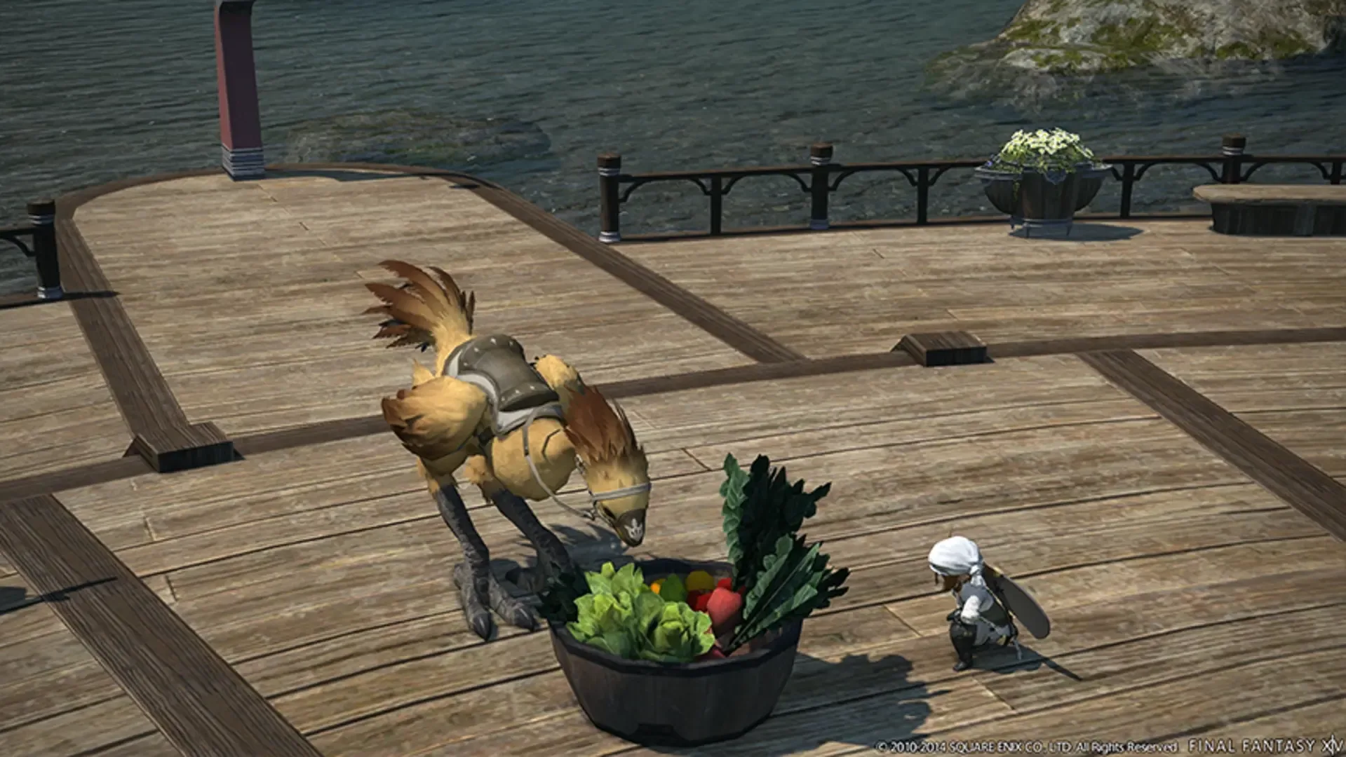 Captura de pantalla - Final Fantasy XIV: Defenders of Eorzea