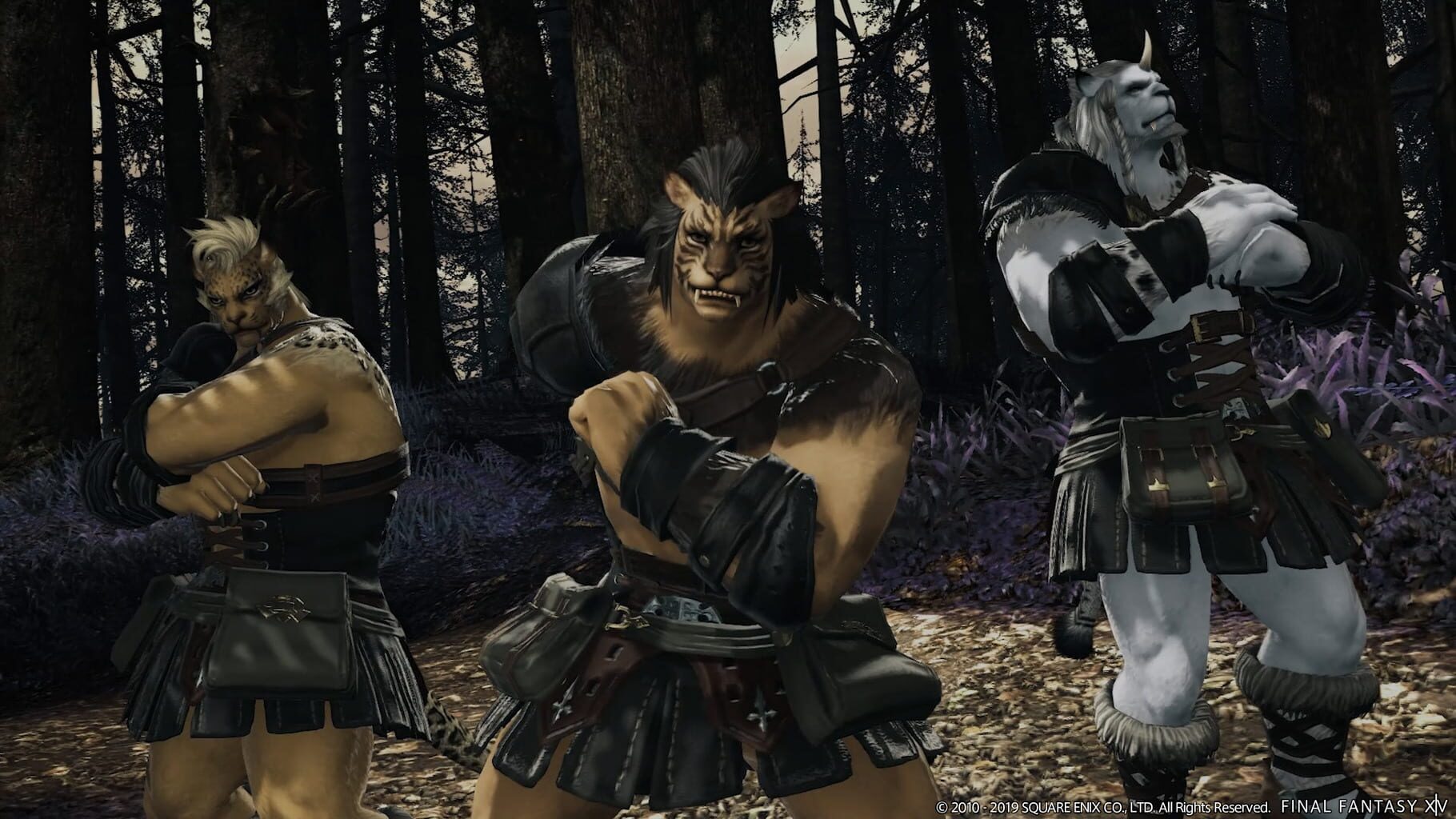 Captura de pantalla - Final Fantasy XIV: Shadowbringers