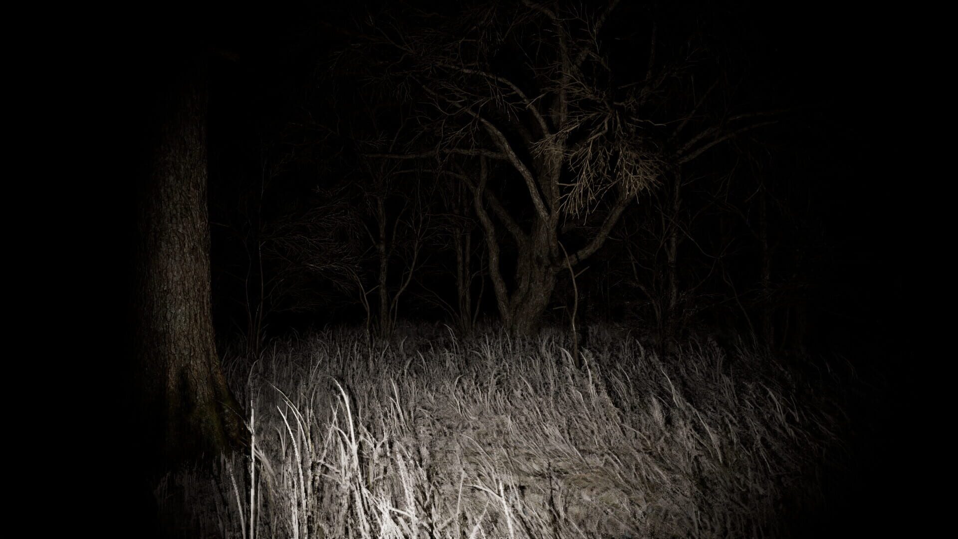 Dark Eyed Angels - Screenshot