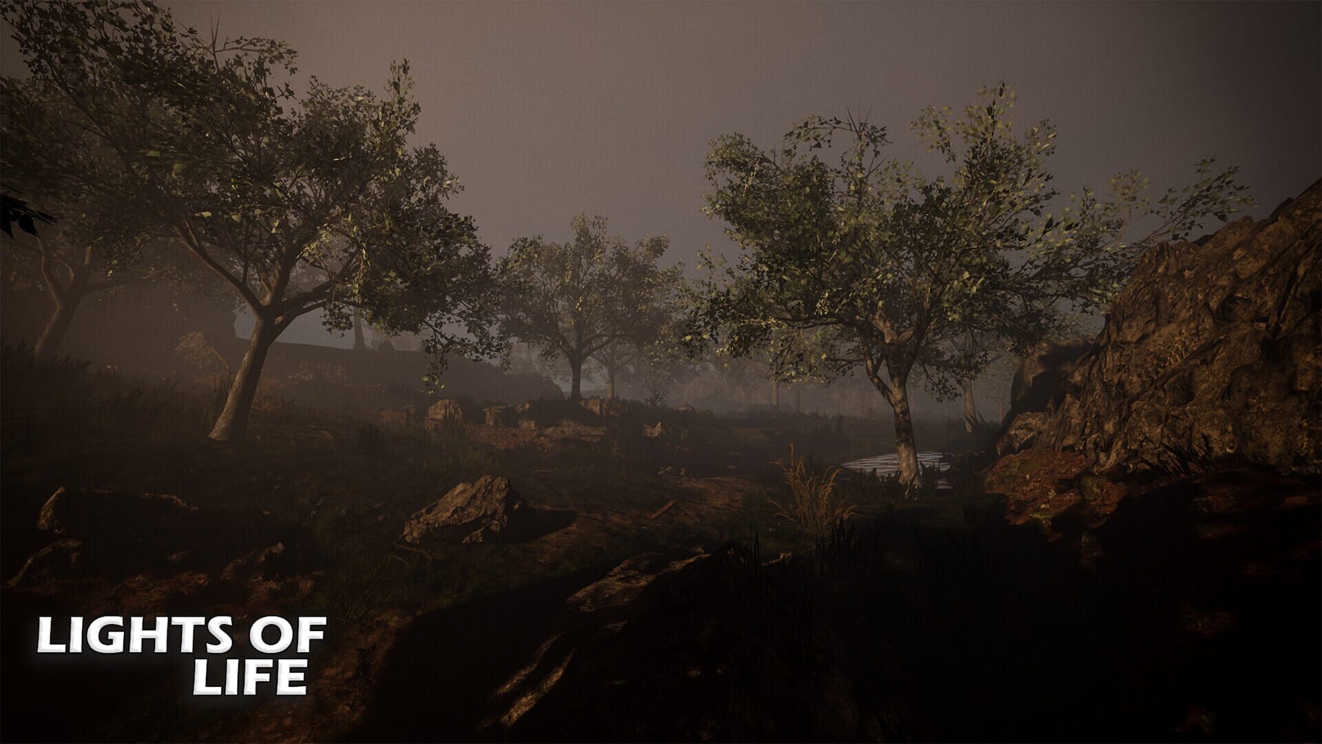 Lights of Life - Screenshot