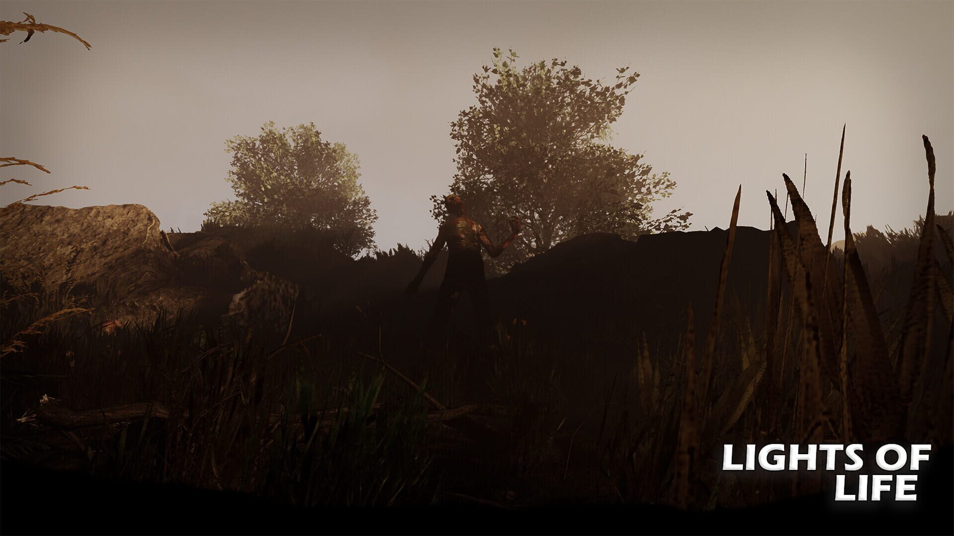 Lights of Life - Screenshot
