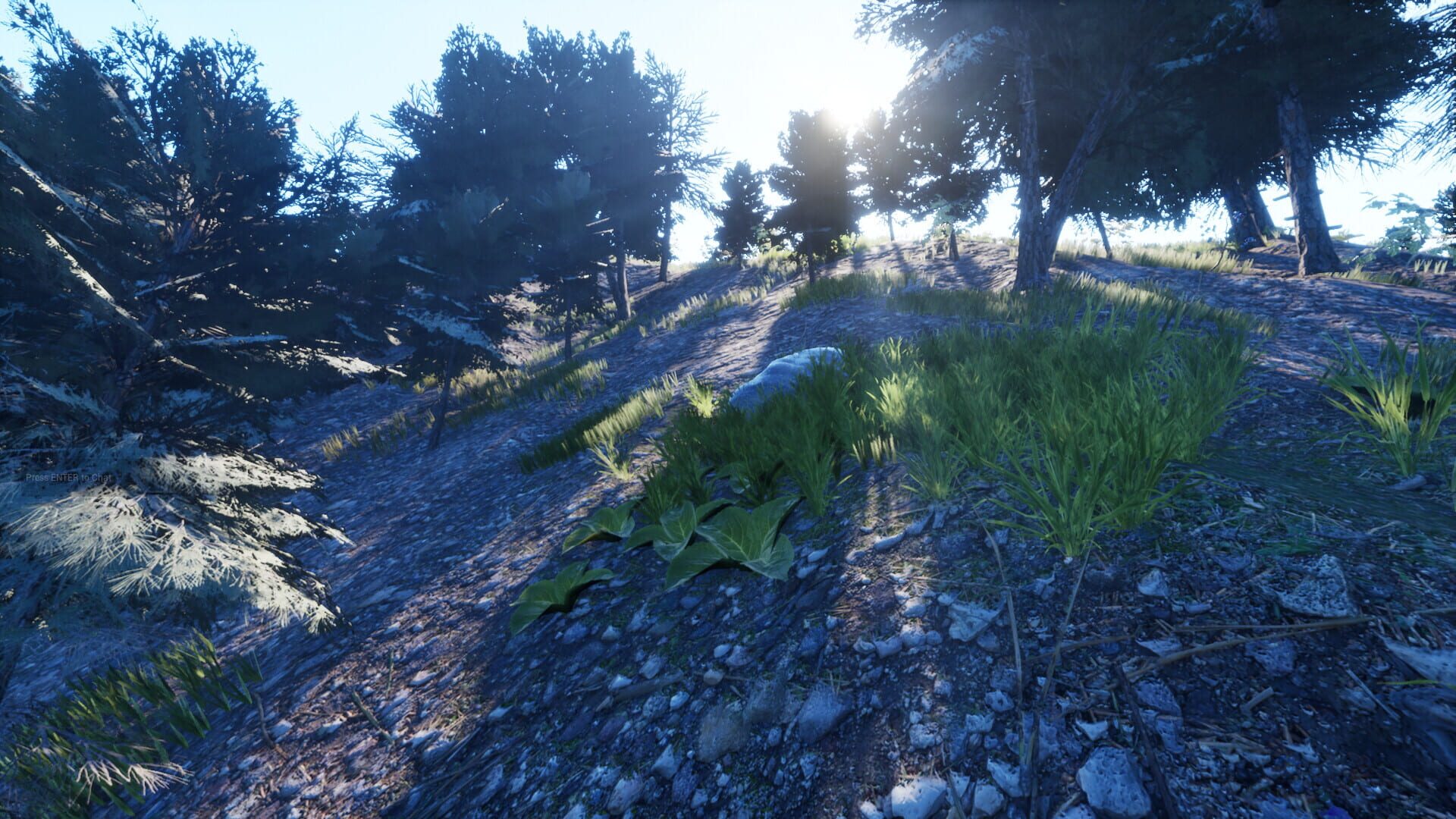 Your Journey of Survival - Screenshot