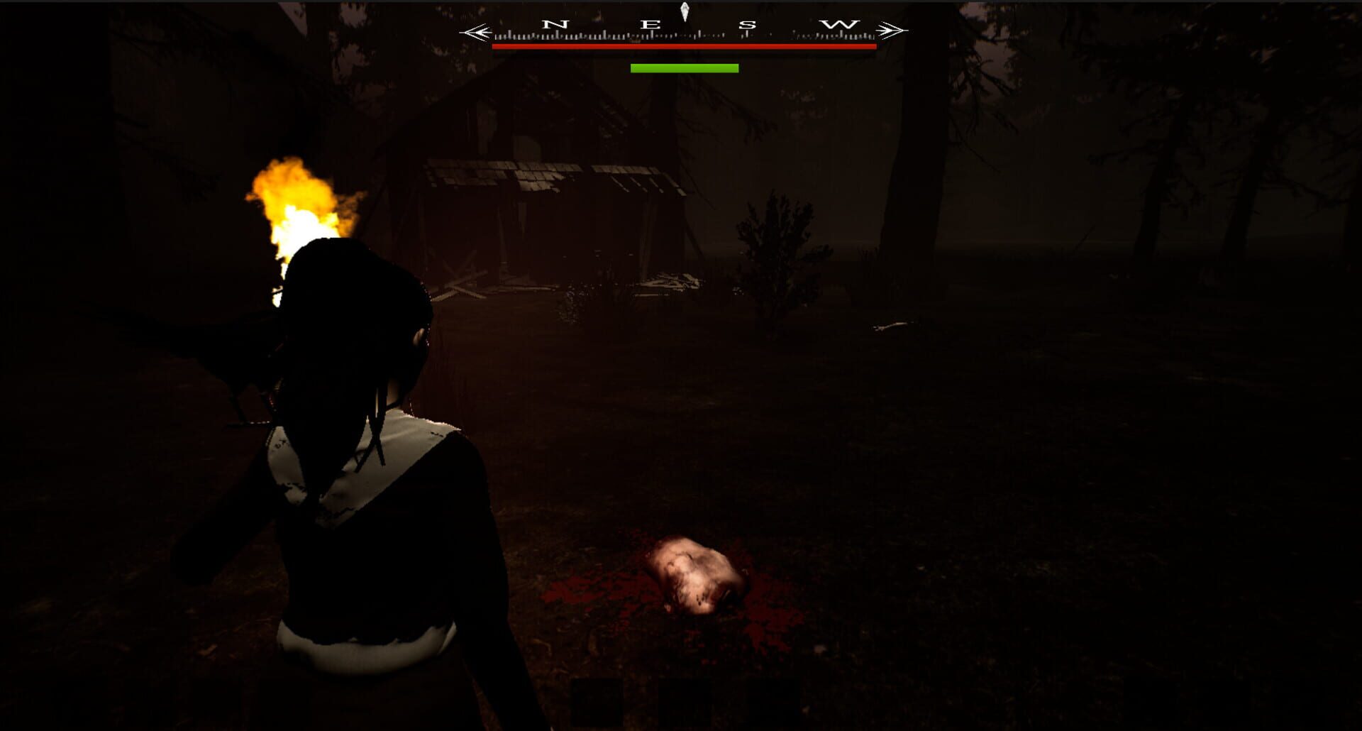 Roanoke - Screenshot
