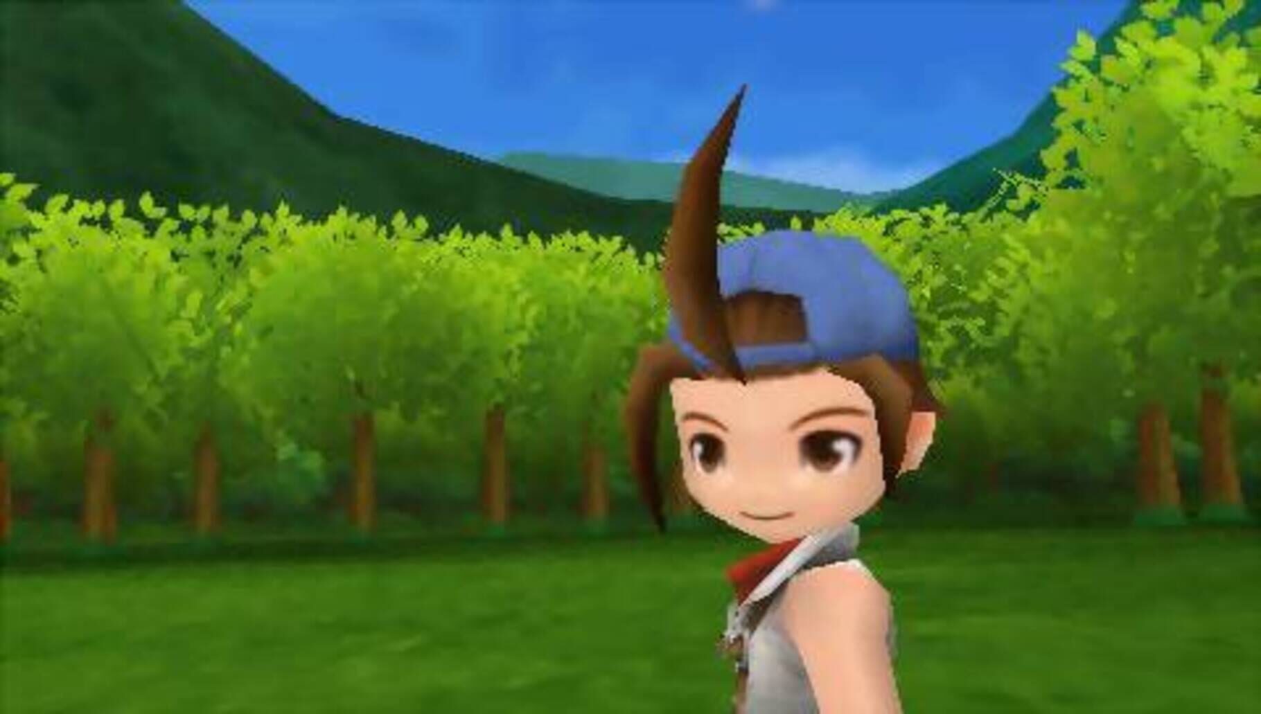 Captura de pantalla - Harvest Moon: Hero of Leaf Valley