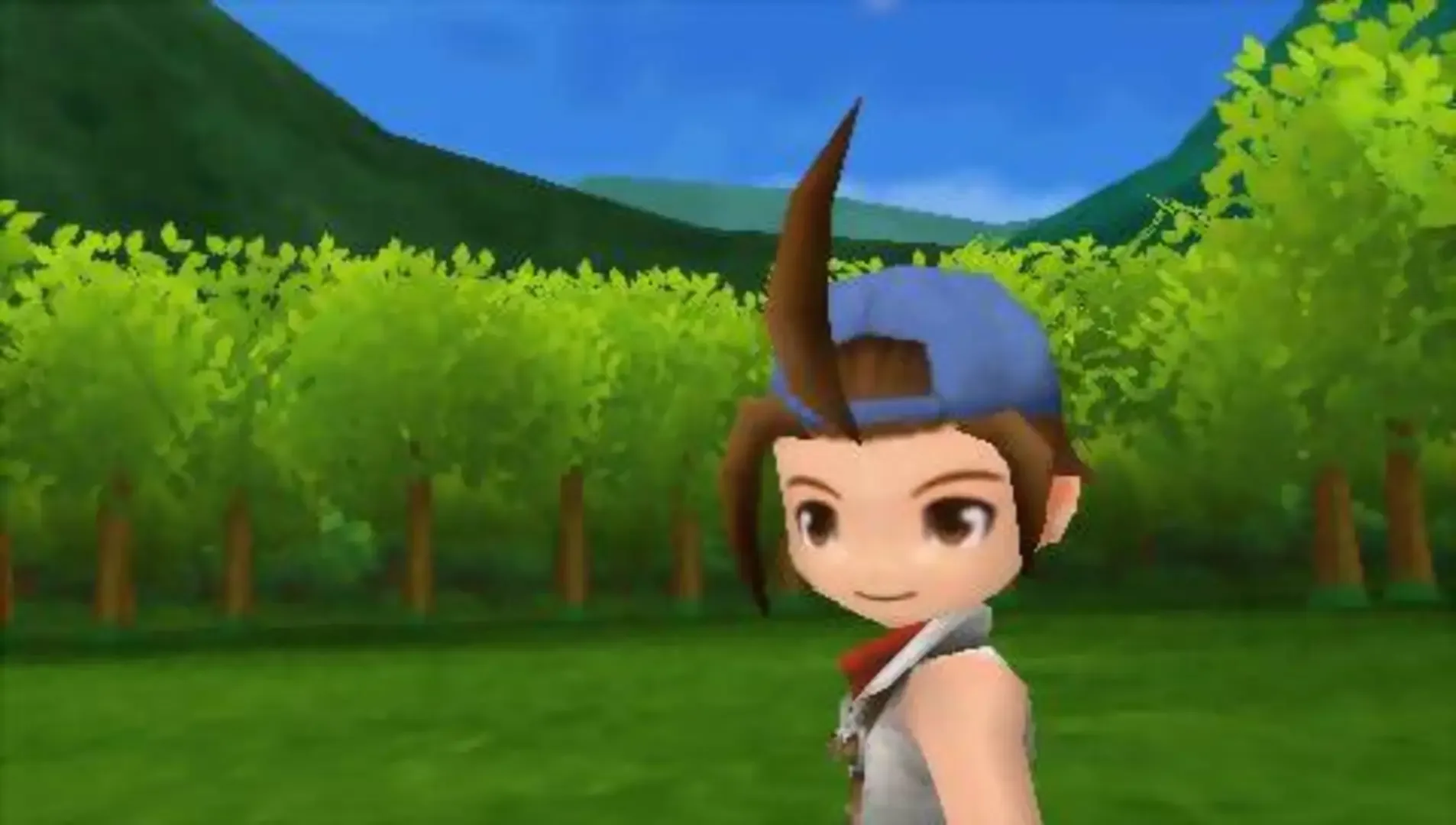Captura de pantalla - Harvest Moon: Hero of Leaf Valley