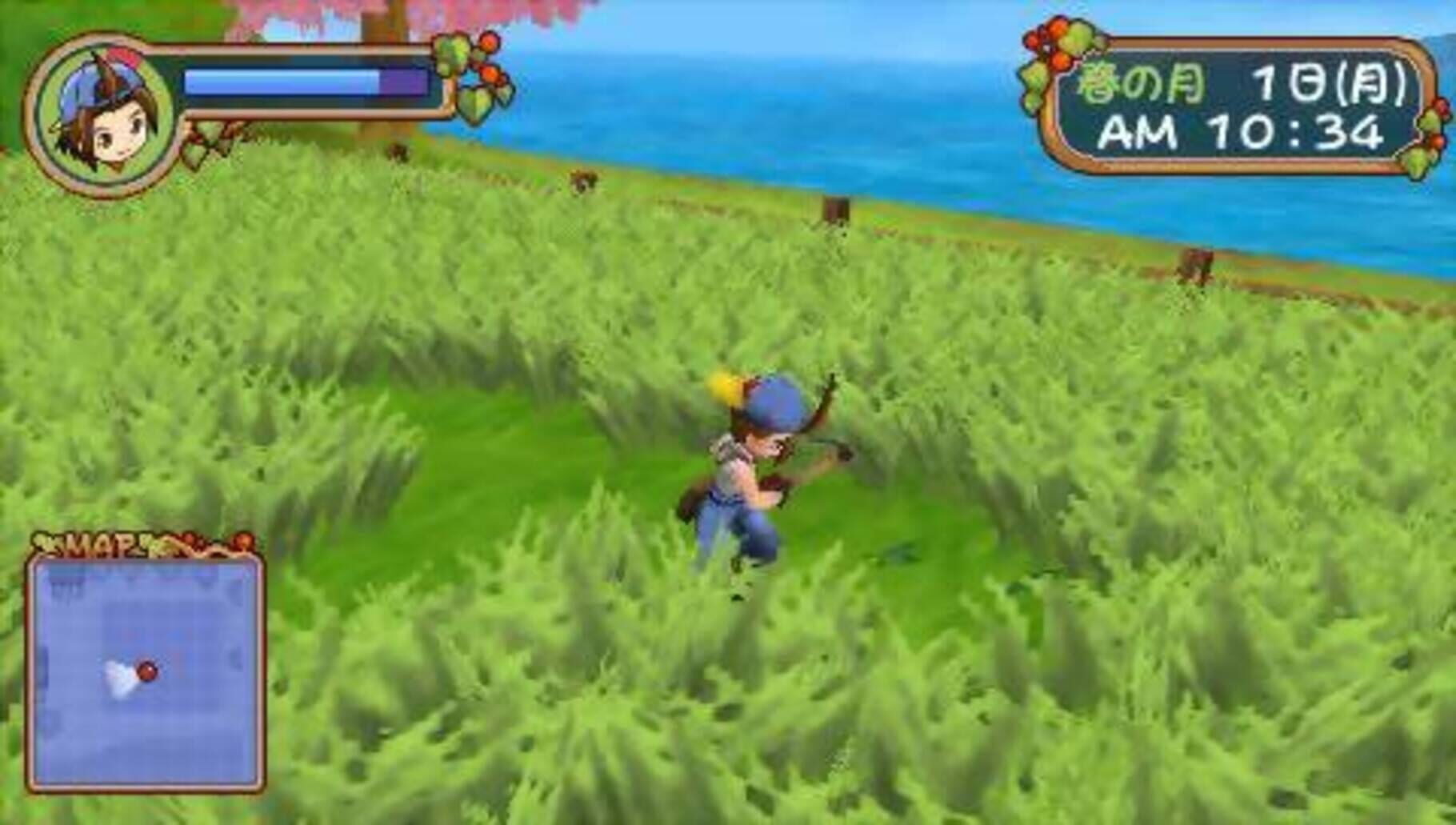 Captura de pantalla - Harvest Moon: Hero of Leaf Valley