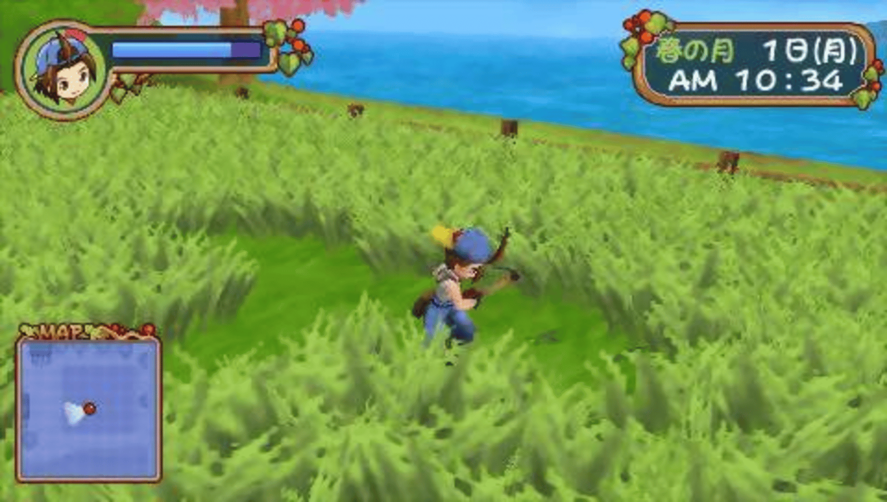 Harvest Moon: Hero of Leaf Valley screenshot