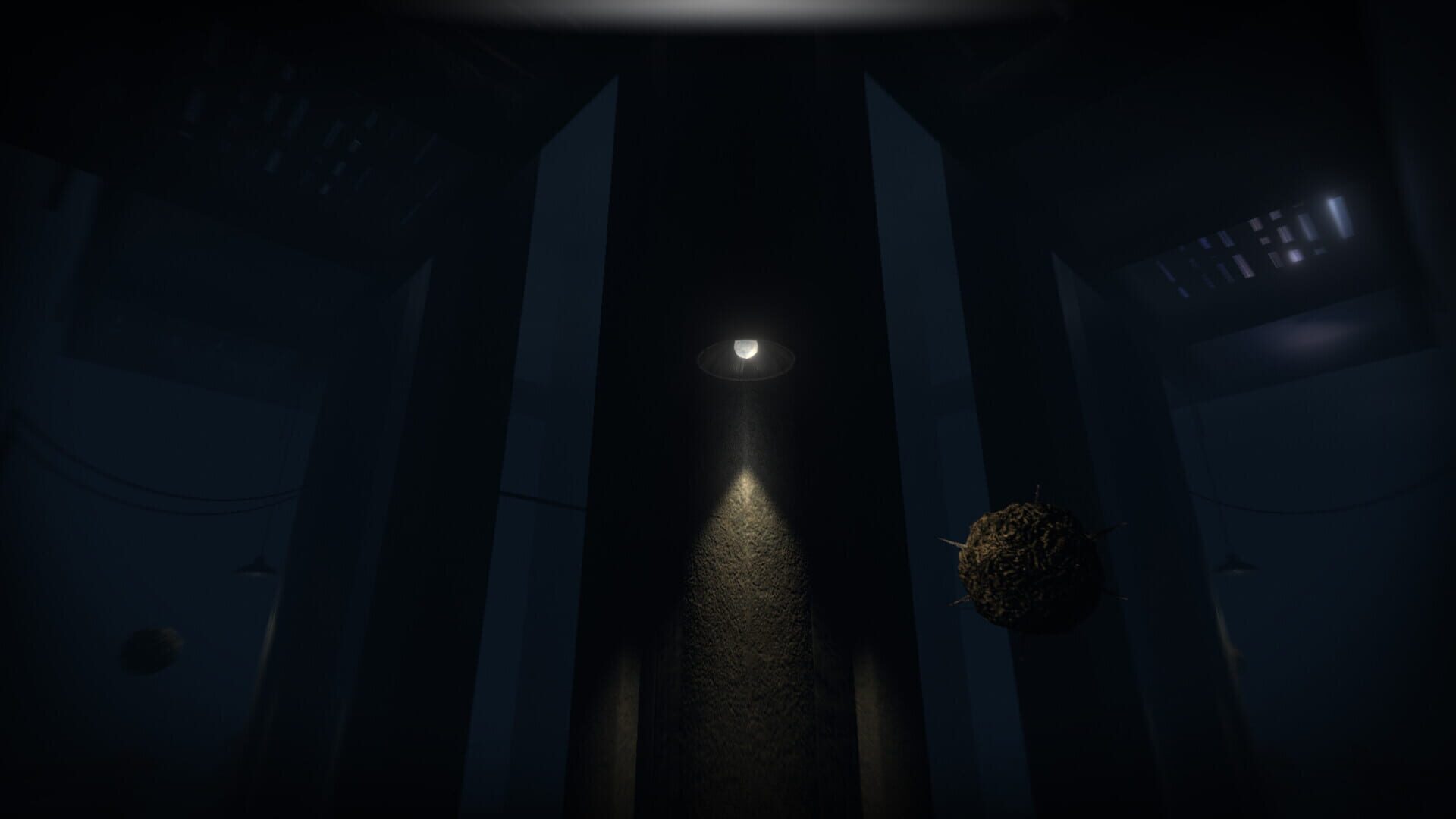 Akui: The Insane Cultists - Screenshot