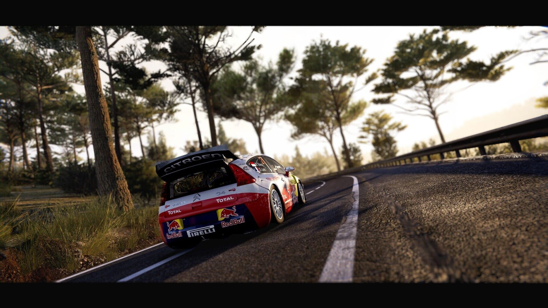 WRC Generations: Citroën C4 WRC 2010 screenshot