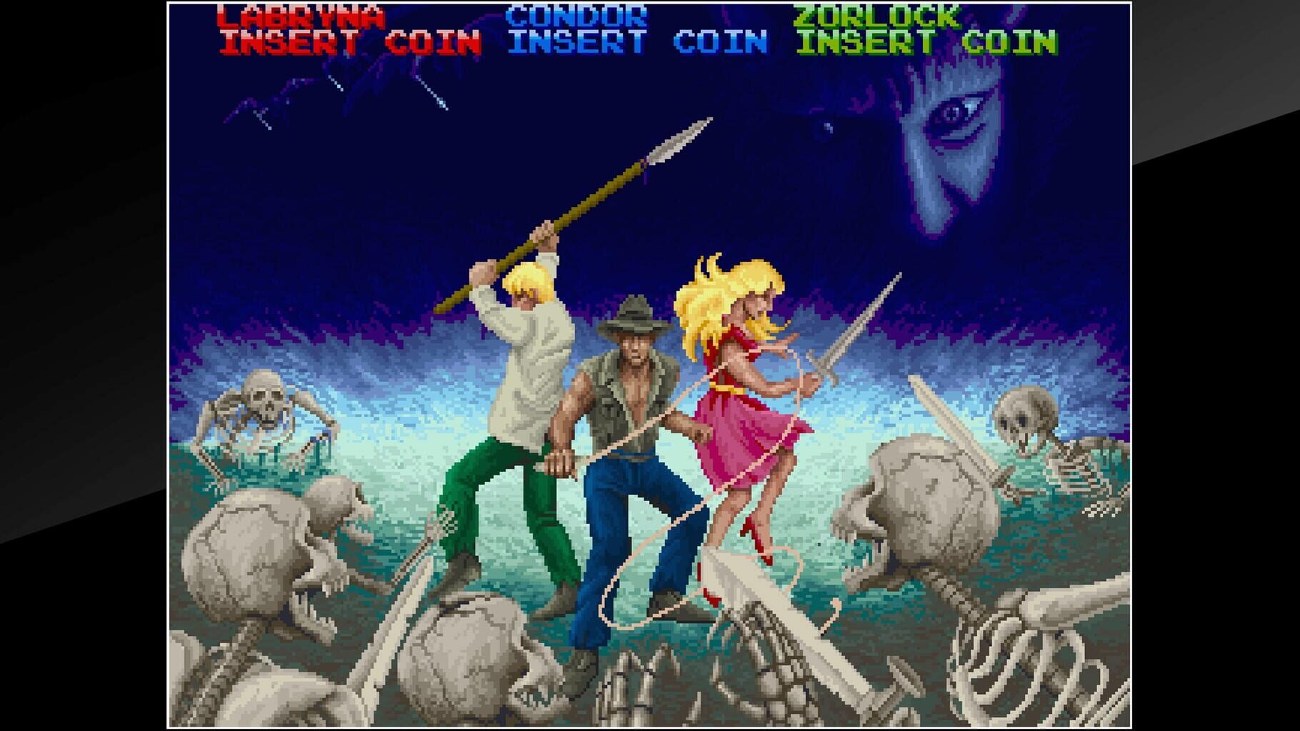 Arcade Archives: Dark Adventure screenshot