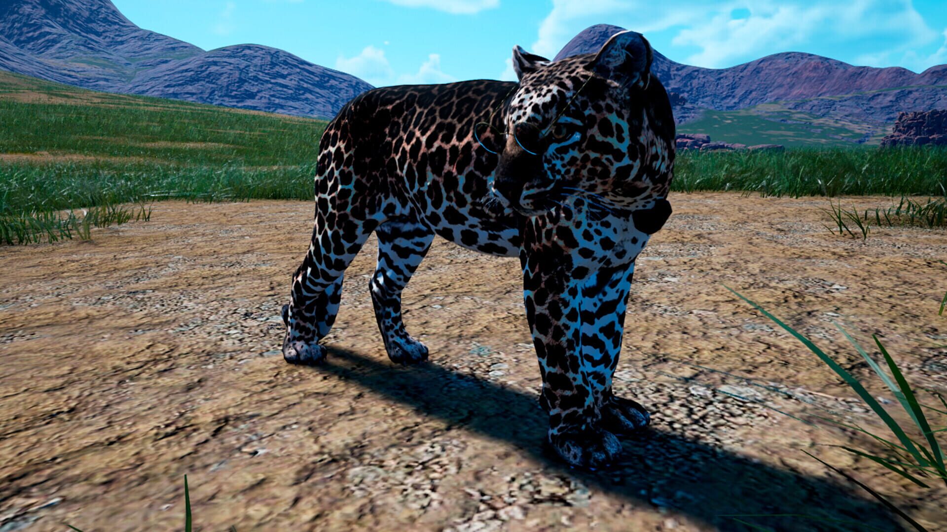 Animalia Survival: Haloween Pack | indienova GameDB 游戏库