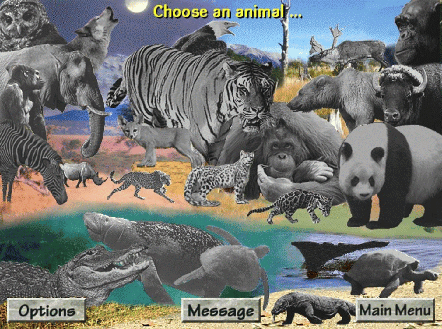 Discovering Endangered Wildlife screenshot