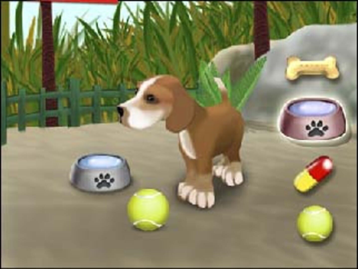 Imagine: Rescue Vet - Screenshot