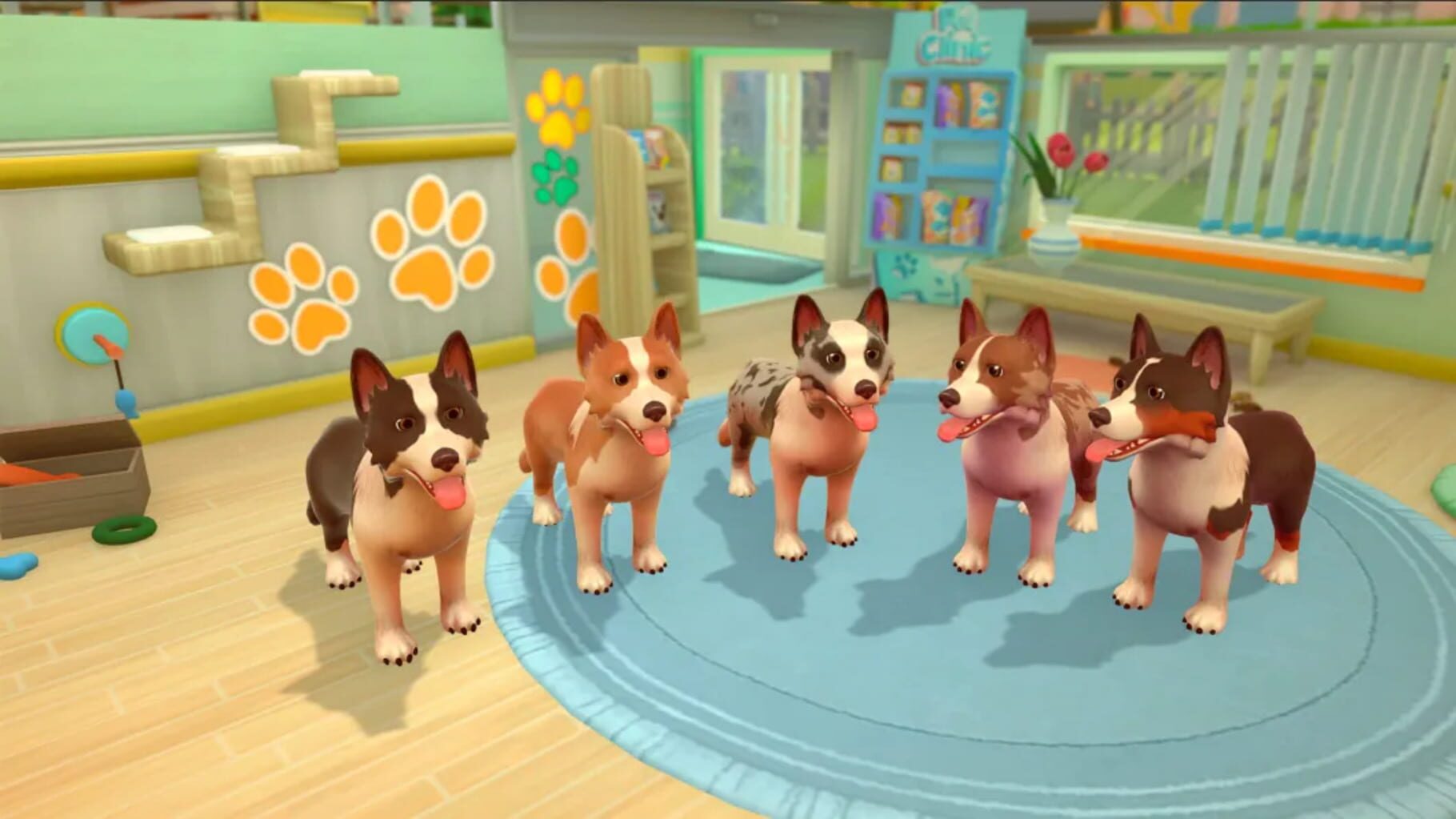 My Universe: Pet Clinic - Cats & Dogs: Panda Edition screenshot