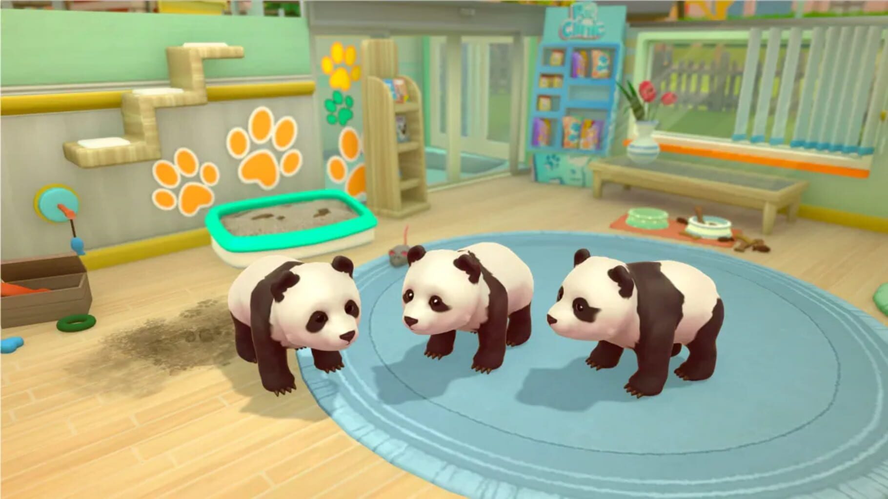 My Universe: Pet Clinic - Cats & Dogs: Panda Edition screenshot