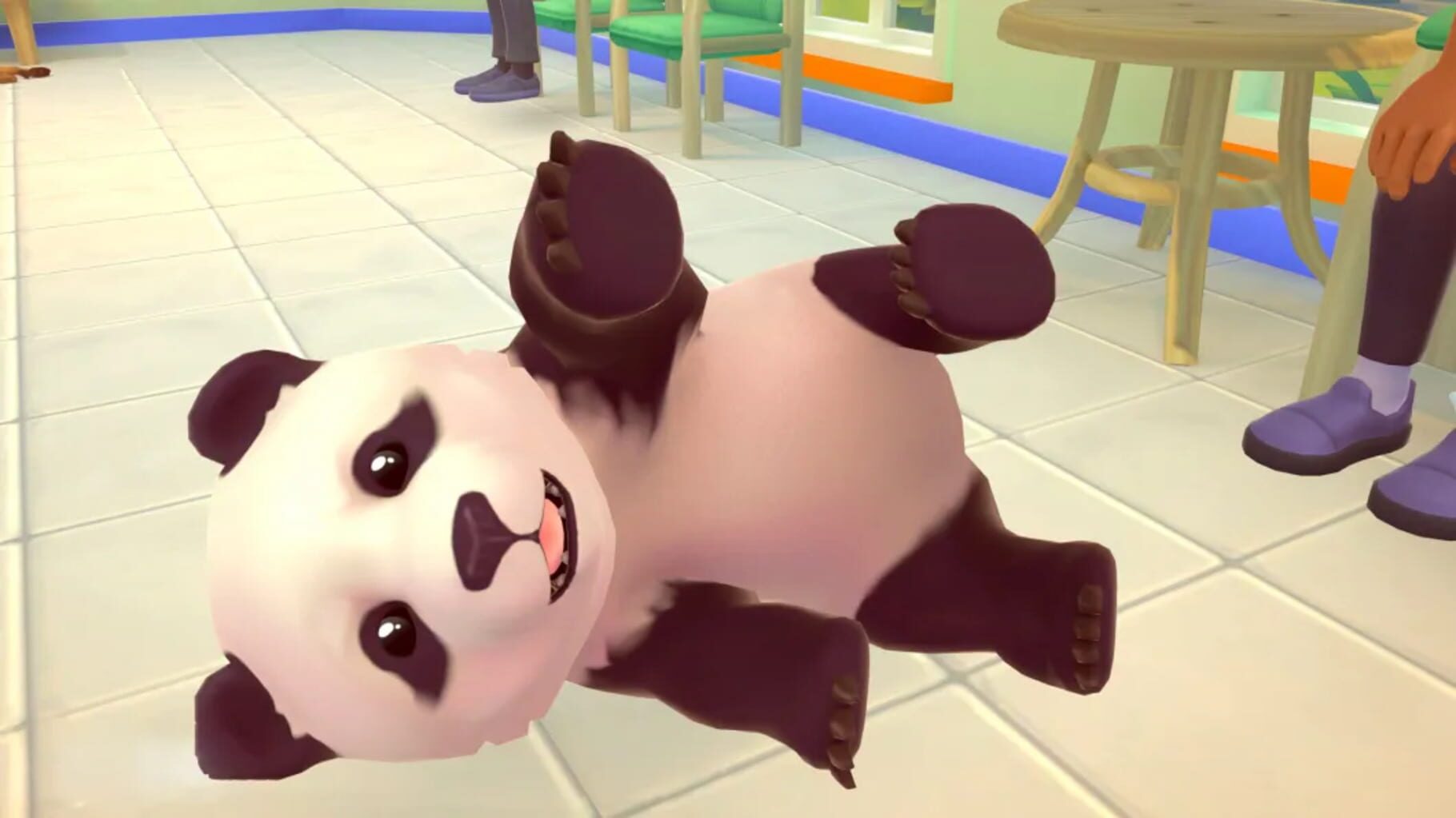 My Universe: Pet Clinic - Cats & Dogs: Panda Edition screenshot