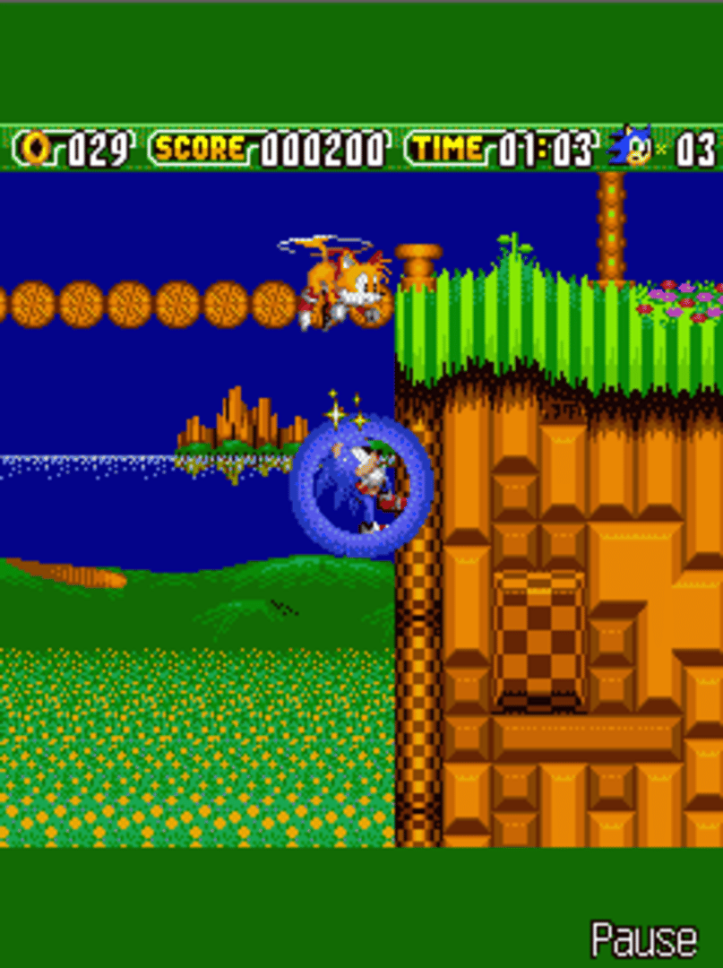 Sonic the Hedgehog 2: Dash! screenshot