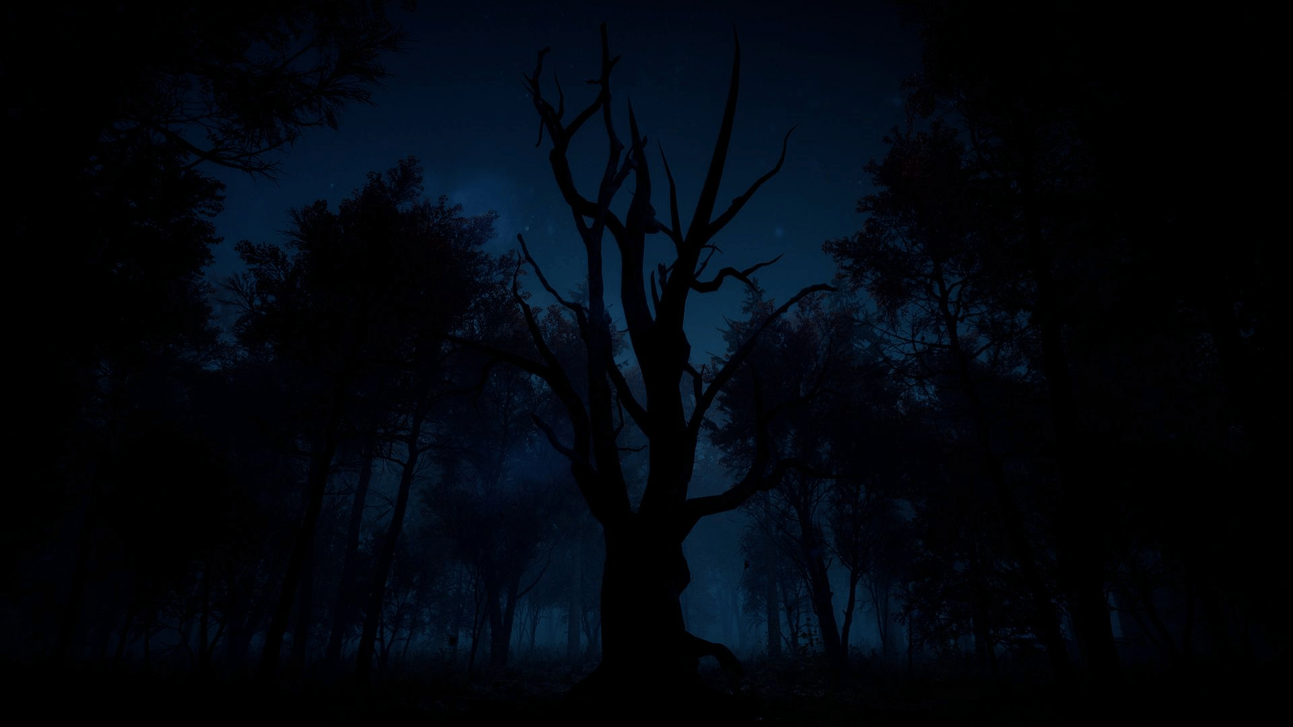 Slender: The Arrival screenshot