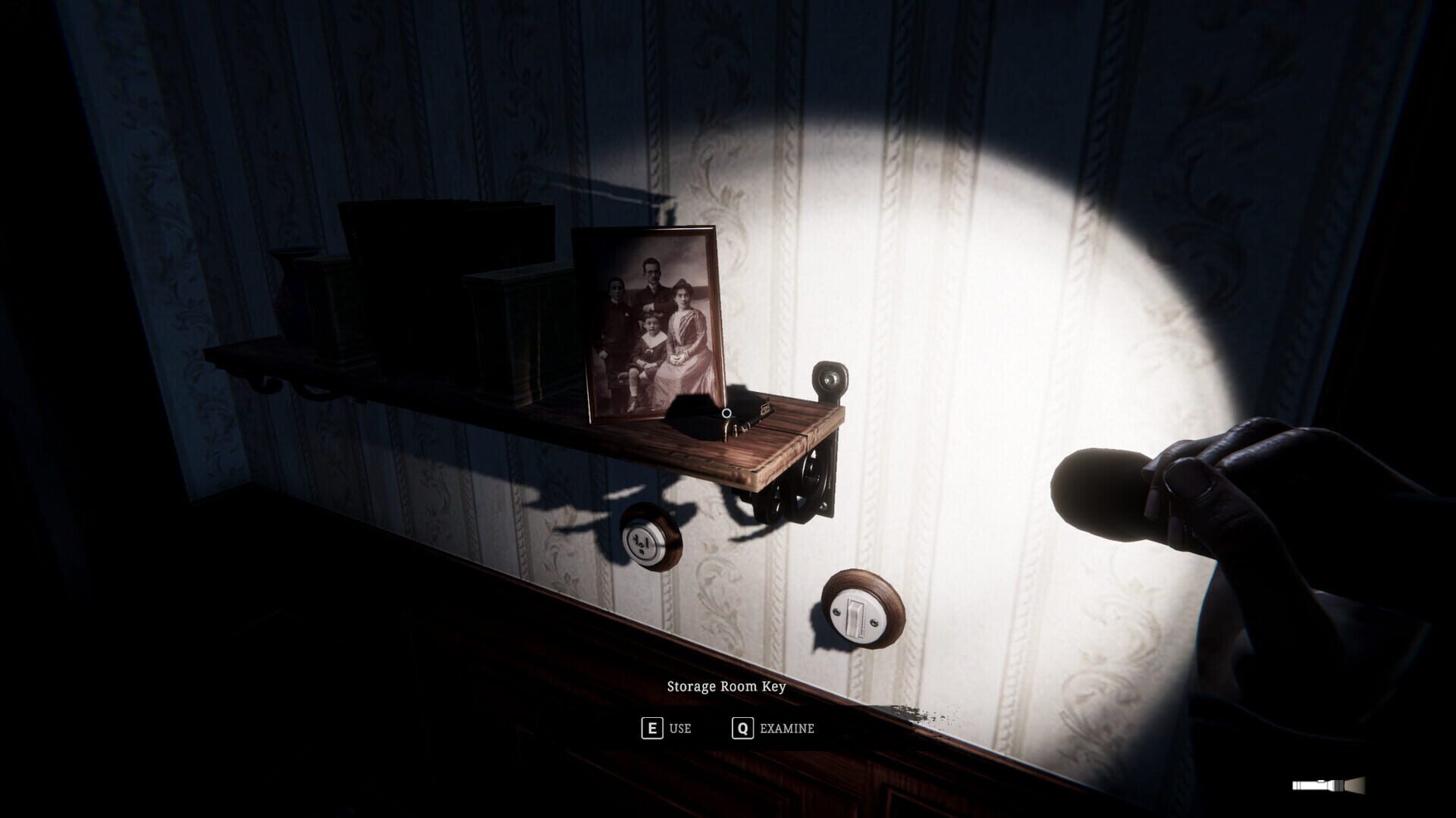 Echos in the Dark - Screenshot