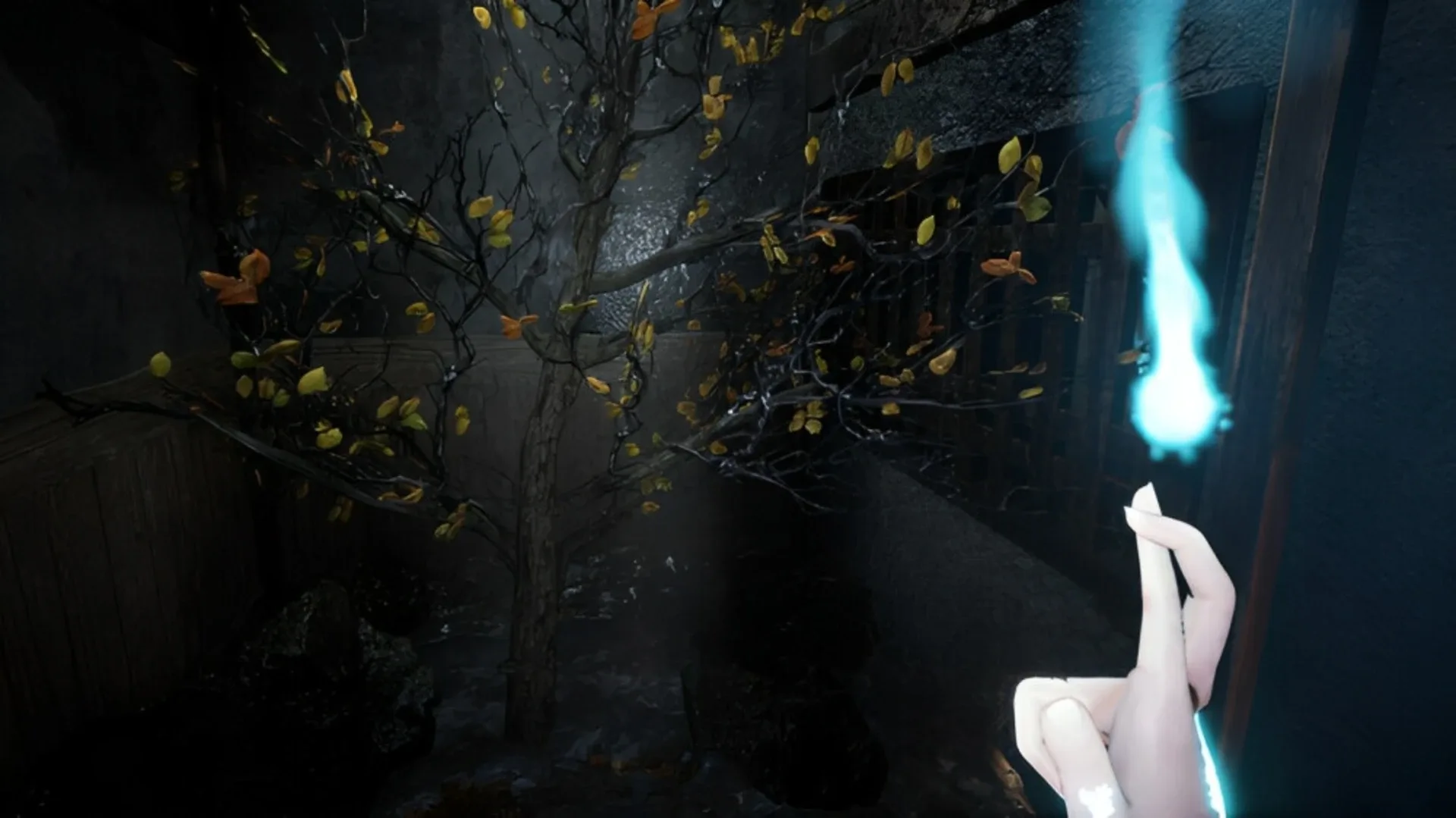 Thumbnail 8