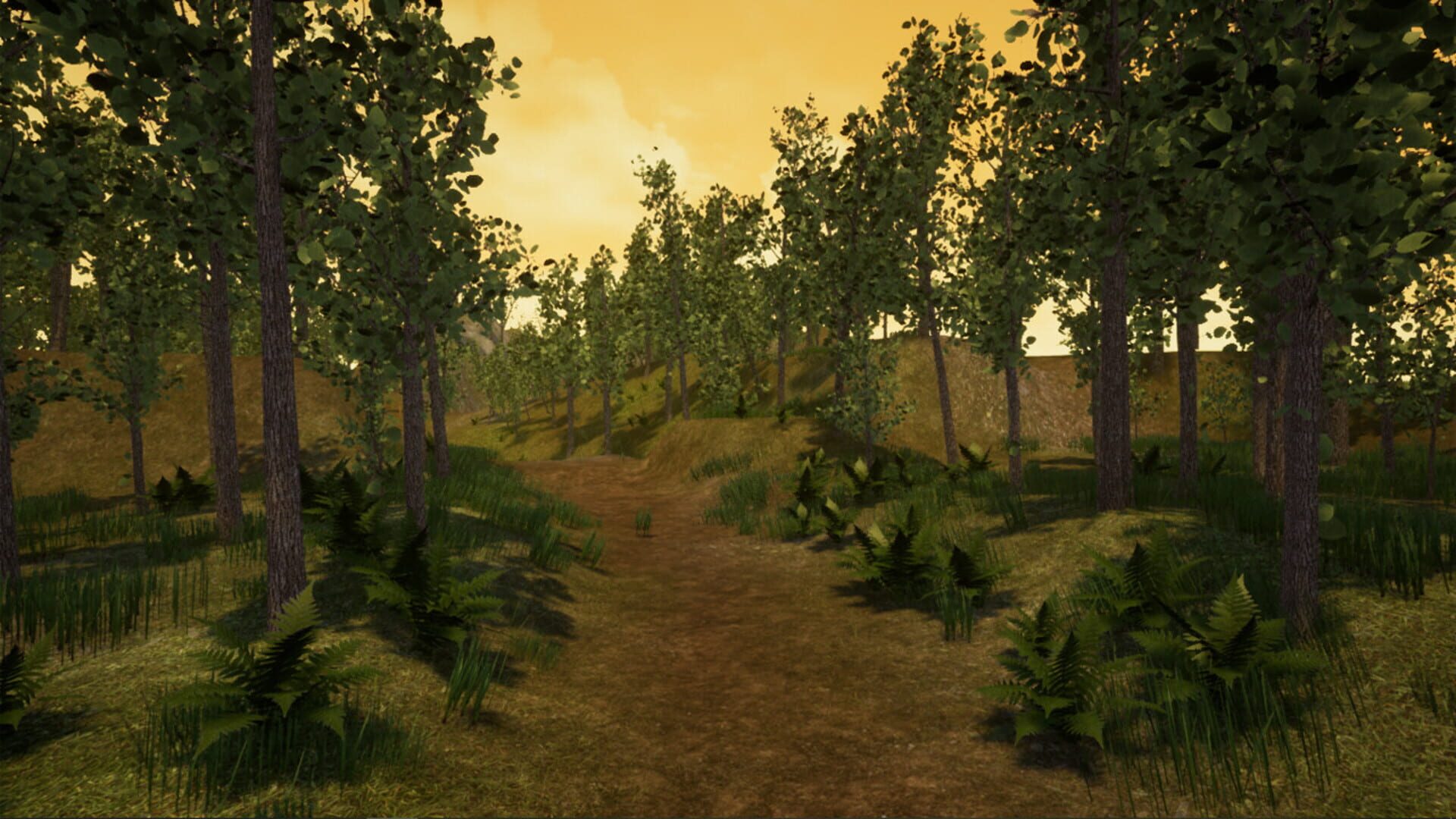 Above the Hill