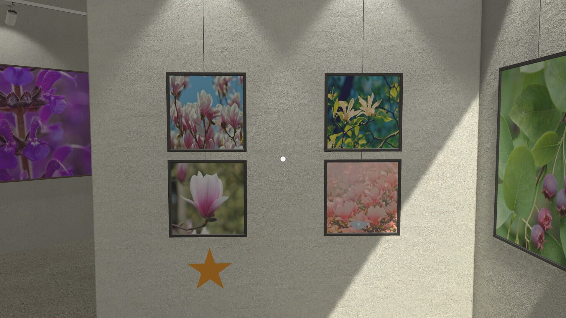 Plant Gallery: A Short Botanic Experience - Screenshot