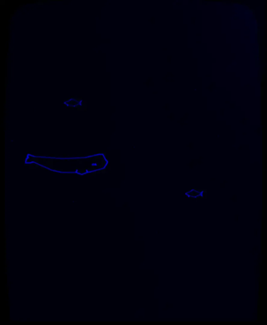 Captura de pantalla - Beluga Dreams