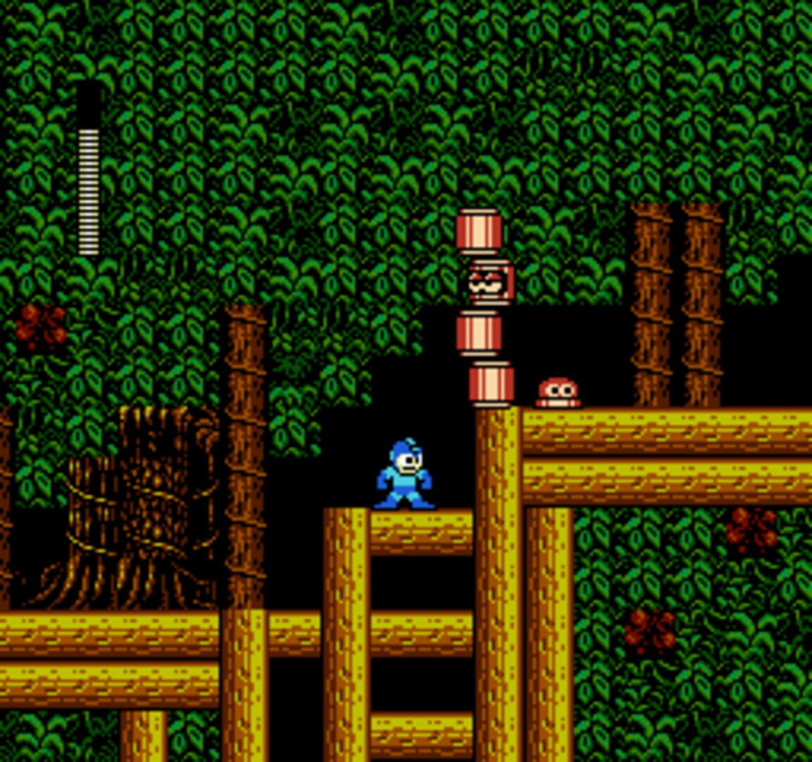 Captura de pantalla - Rockman 2: Gray Zone