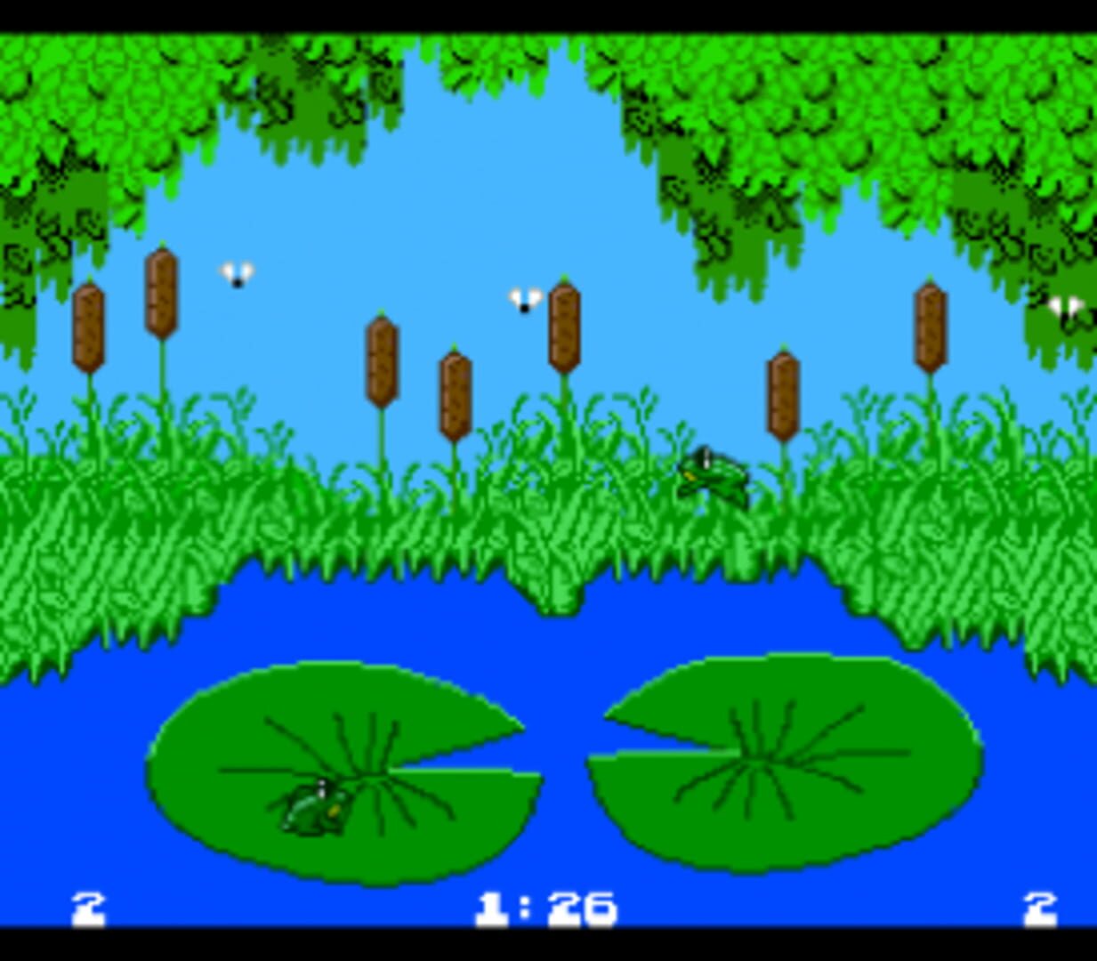 Frog Feast