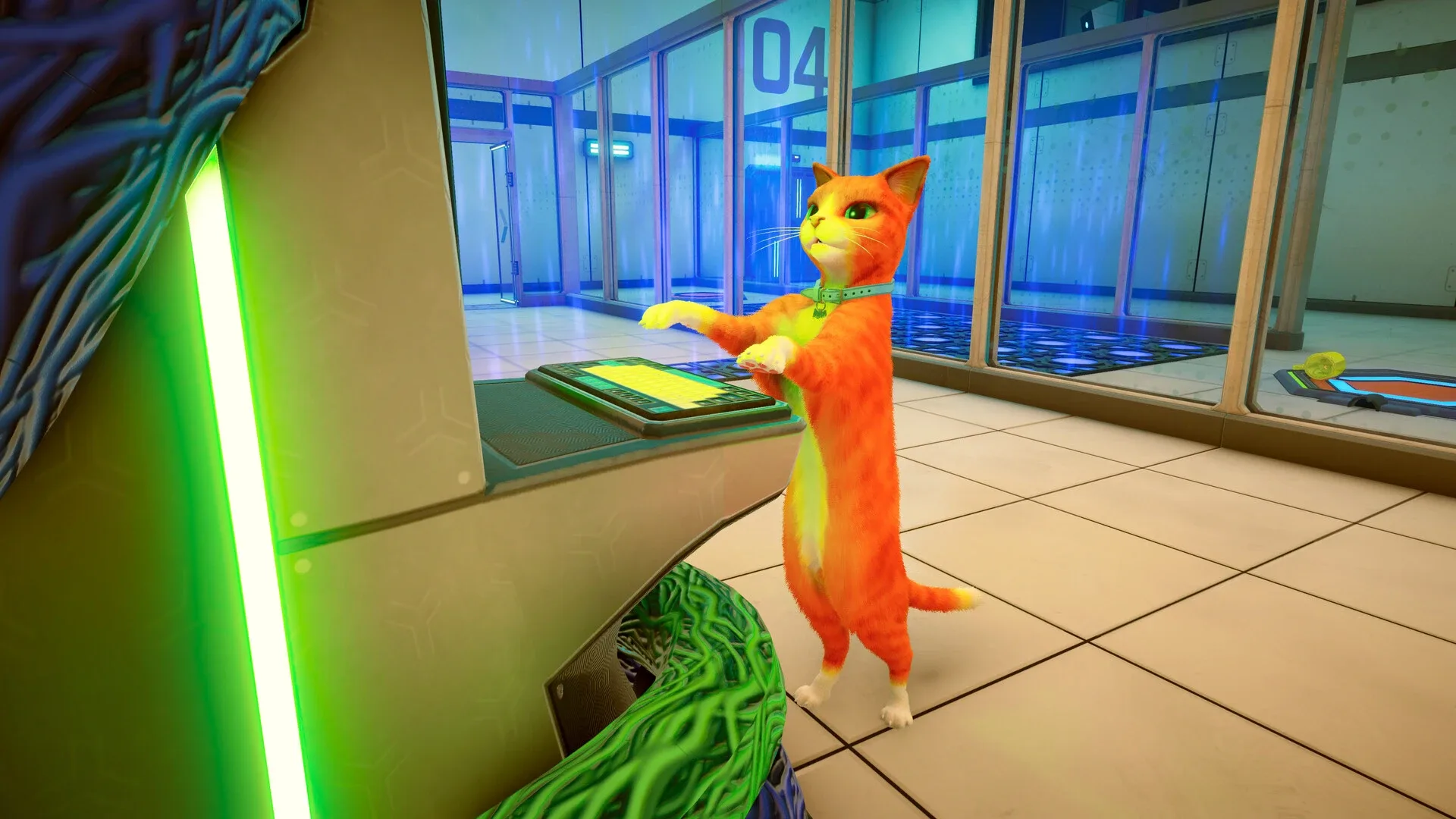 Thumbnail 5