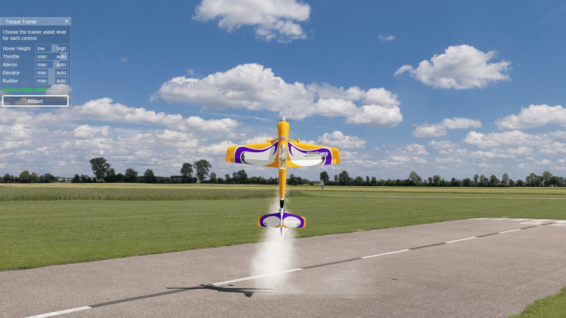 Aerofly RC 10: RC Flight Simulator screenshot