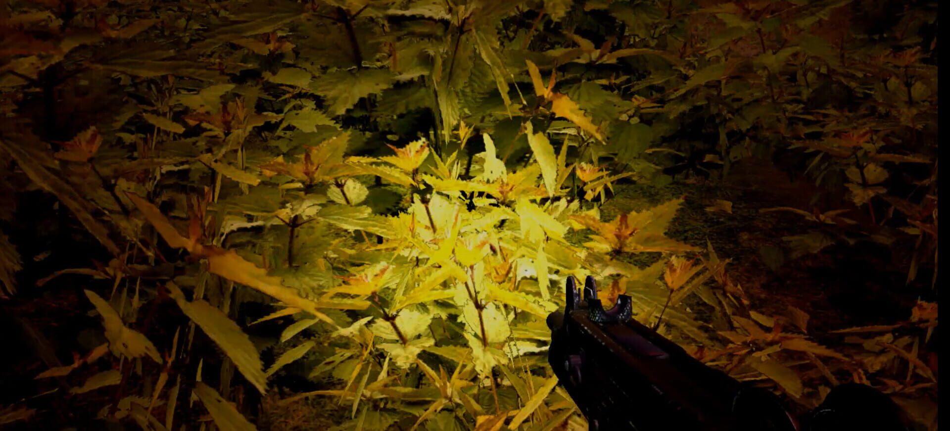 Strange Adventures - Screenshot