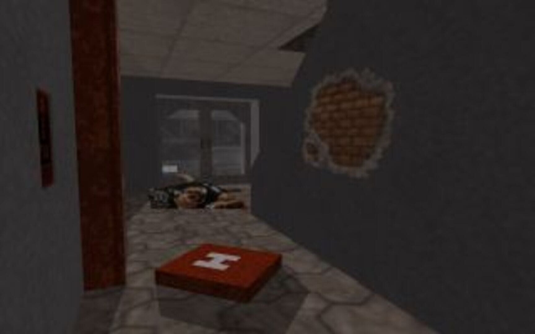 Hasit - Screenshot