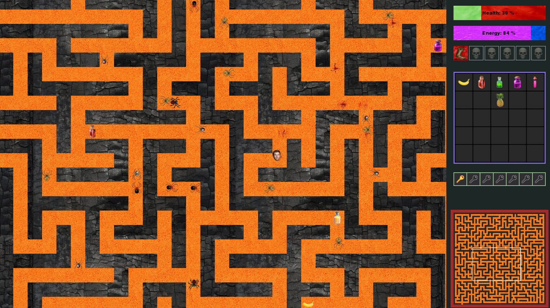 Australian Maze - Screenshot