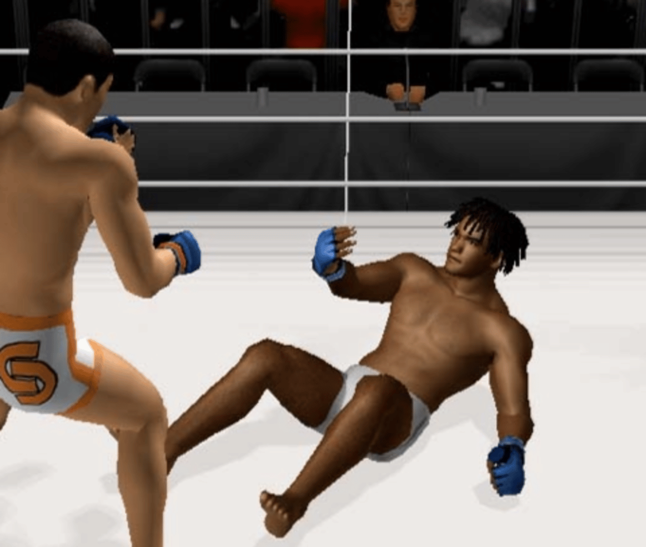 Pride FC: Fighting Championships screenshot