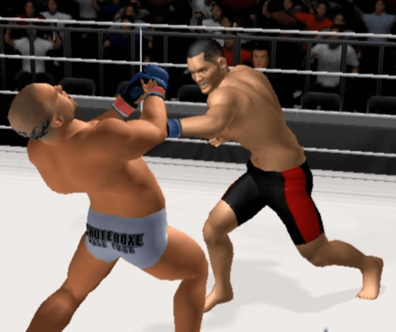 Pride FC: Fighting Championships screenshot