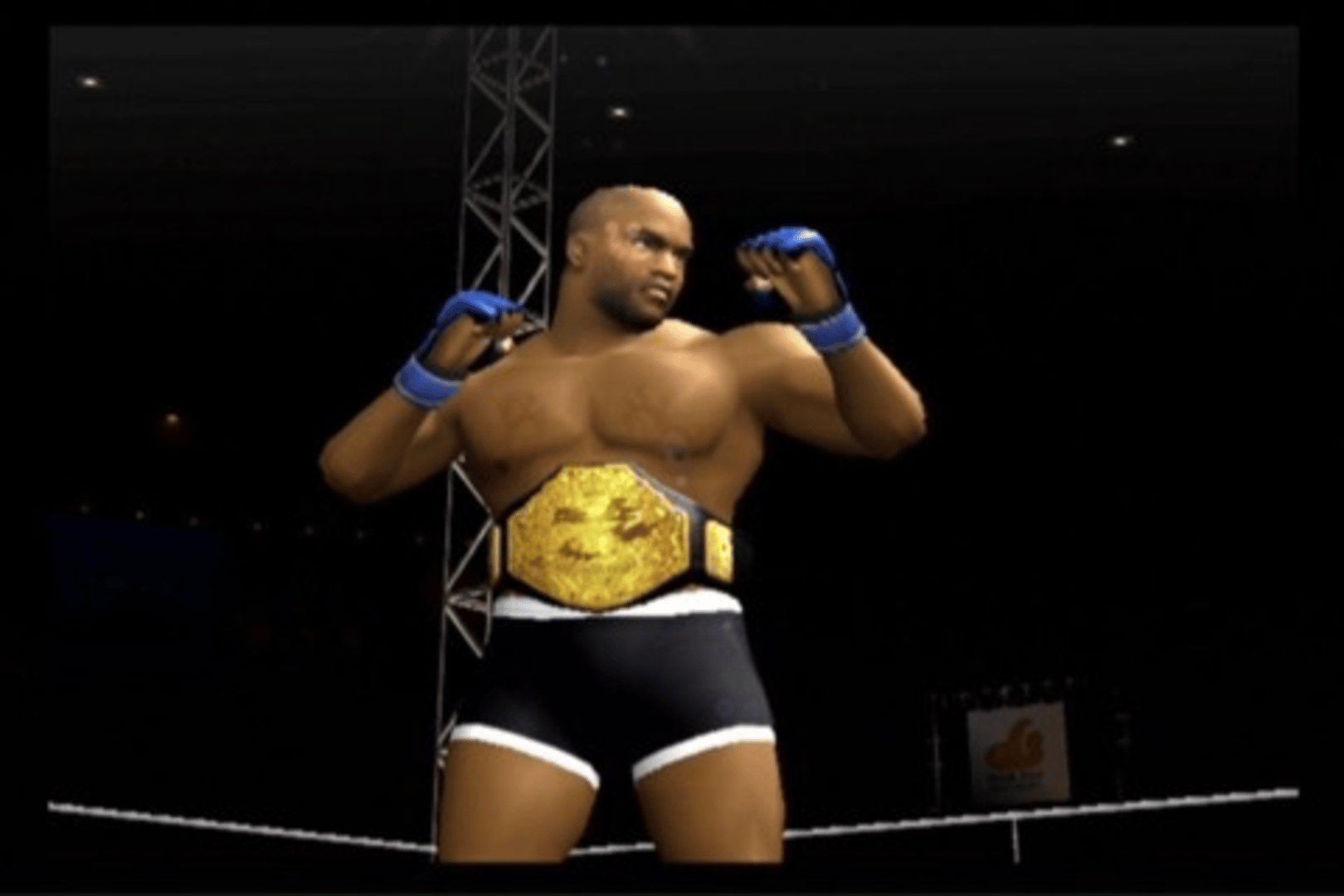 Pride FC: Fighting Championships screenshot