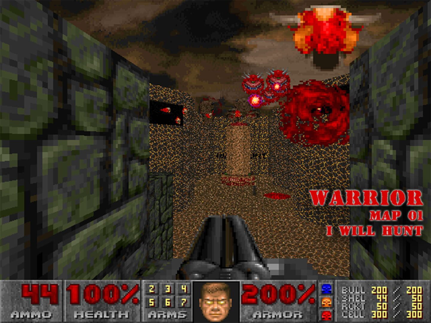 Warrior - Screenshot
