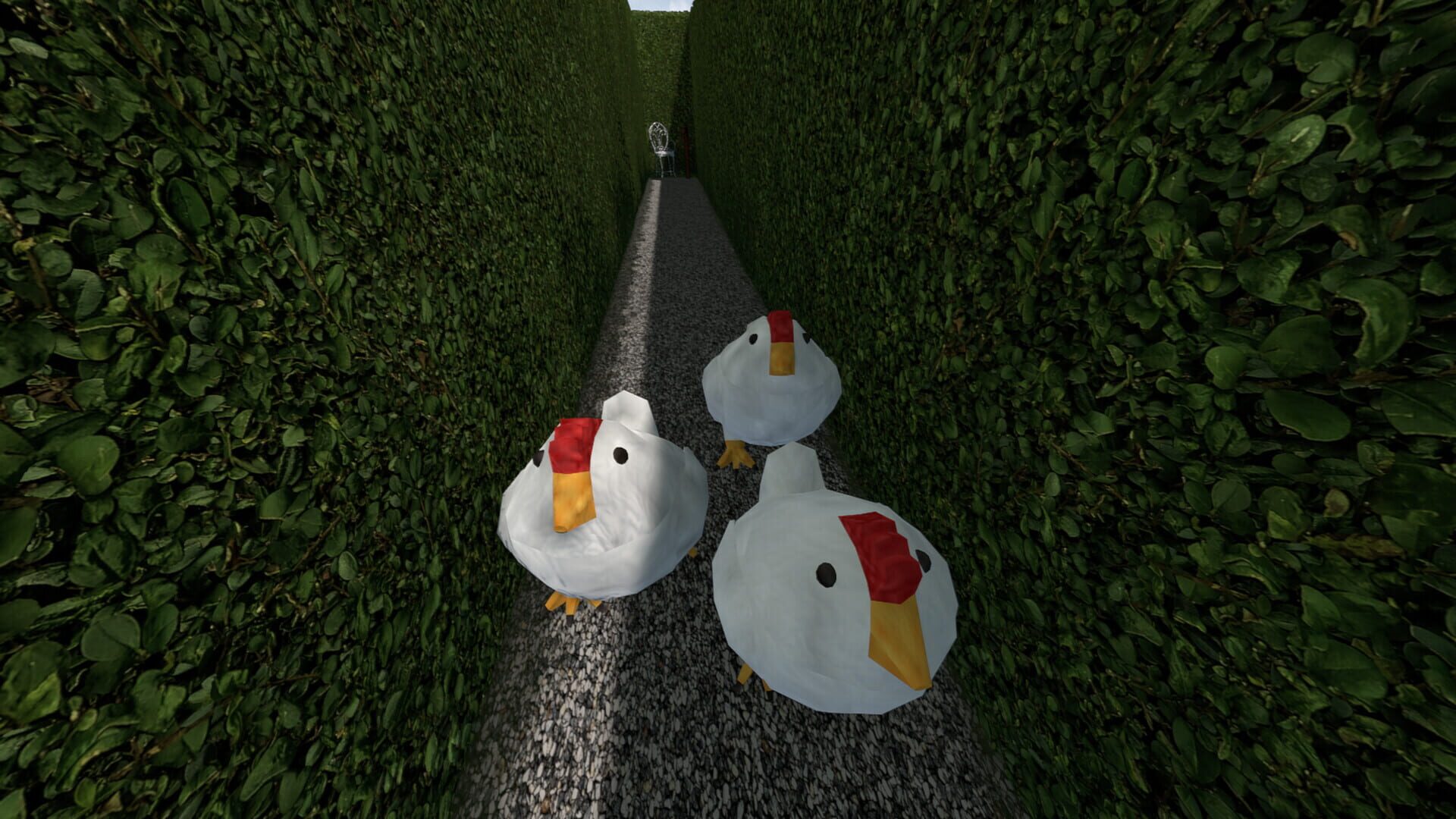 Chasing Chickens - Screenshot