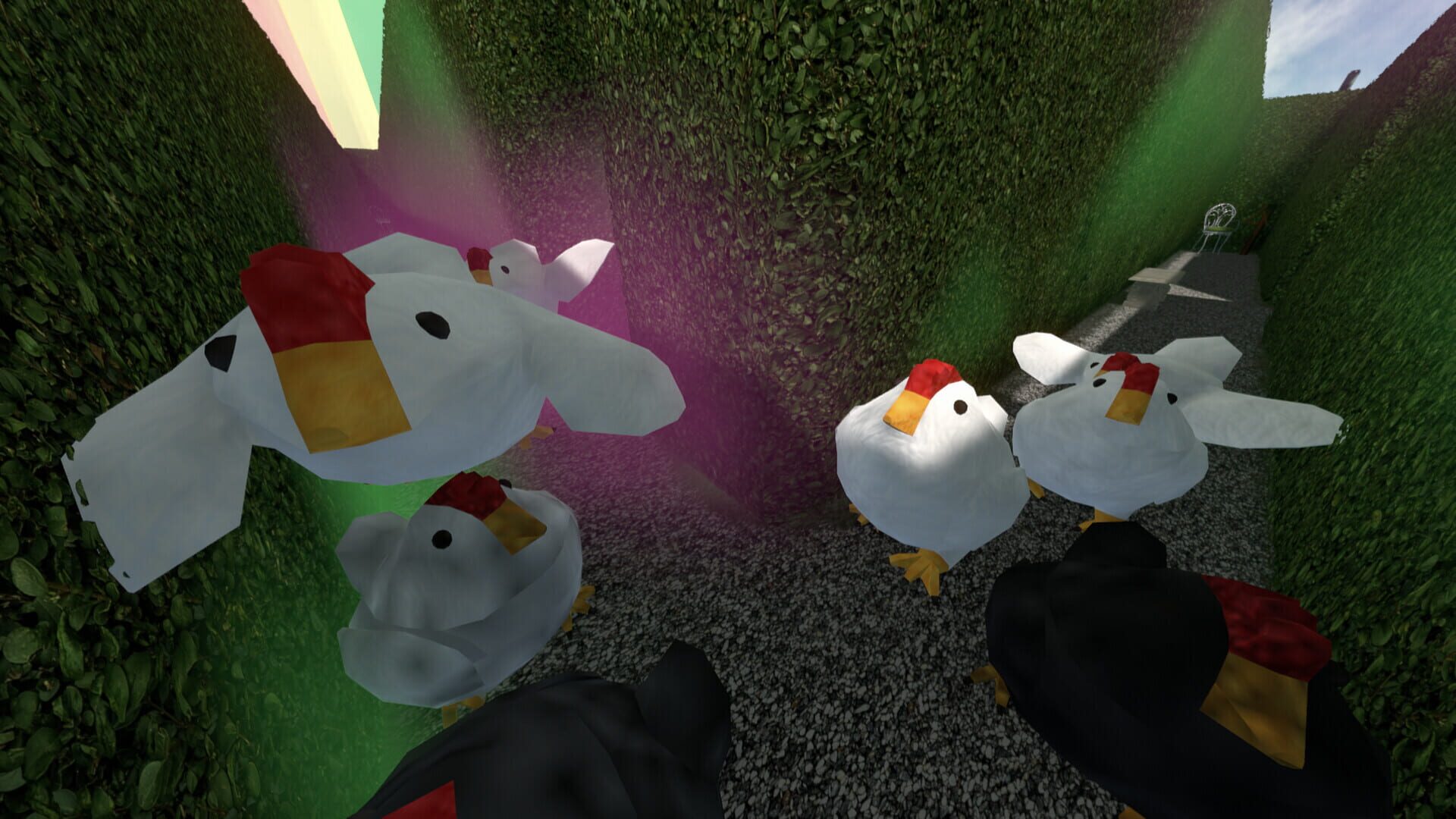 Chasing Chickens - Screenshot