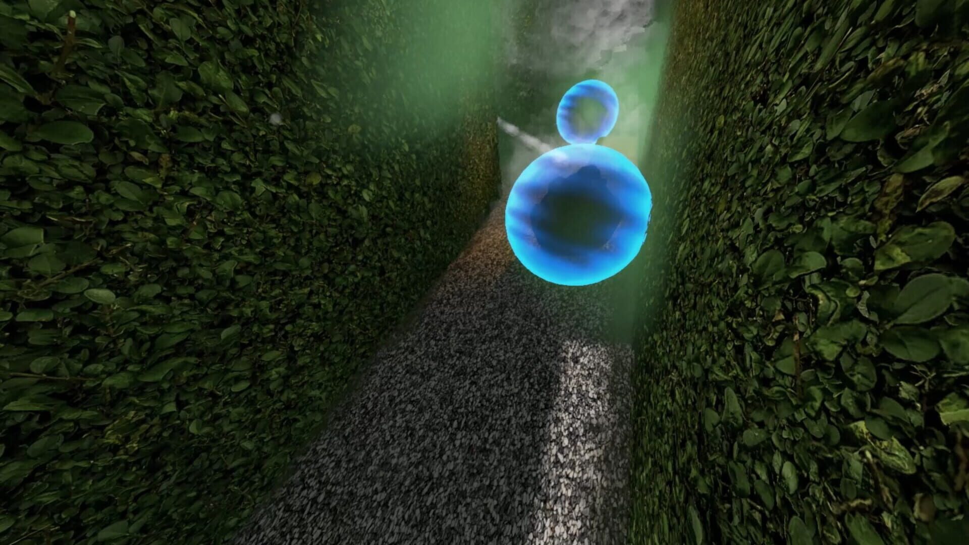 Chasing Chickens - Screenshot