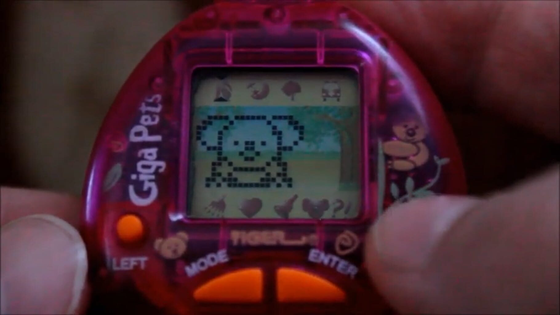 Giga Pets: Komputer Koala