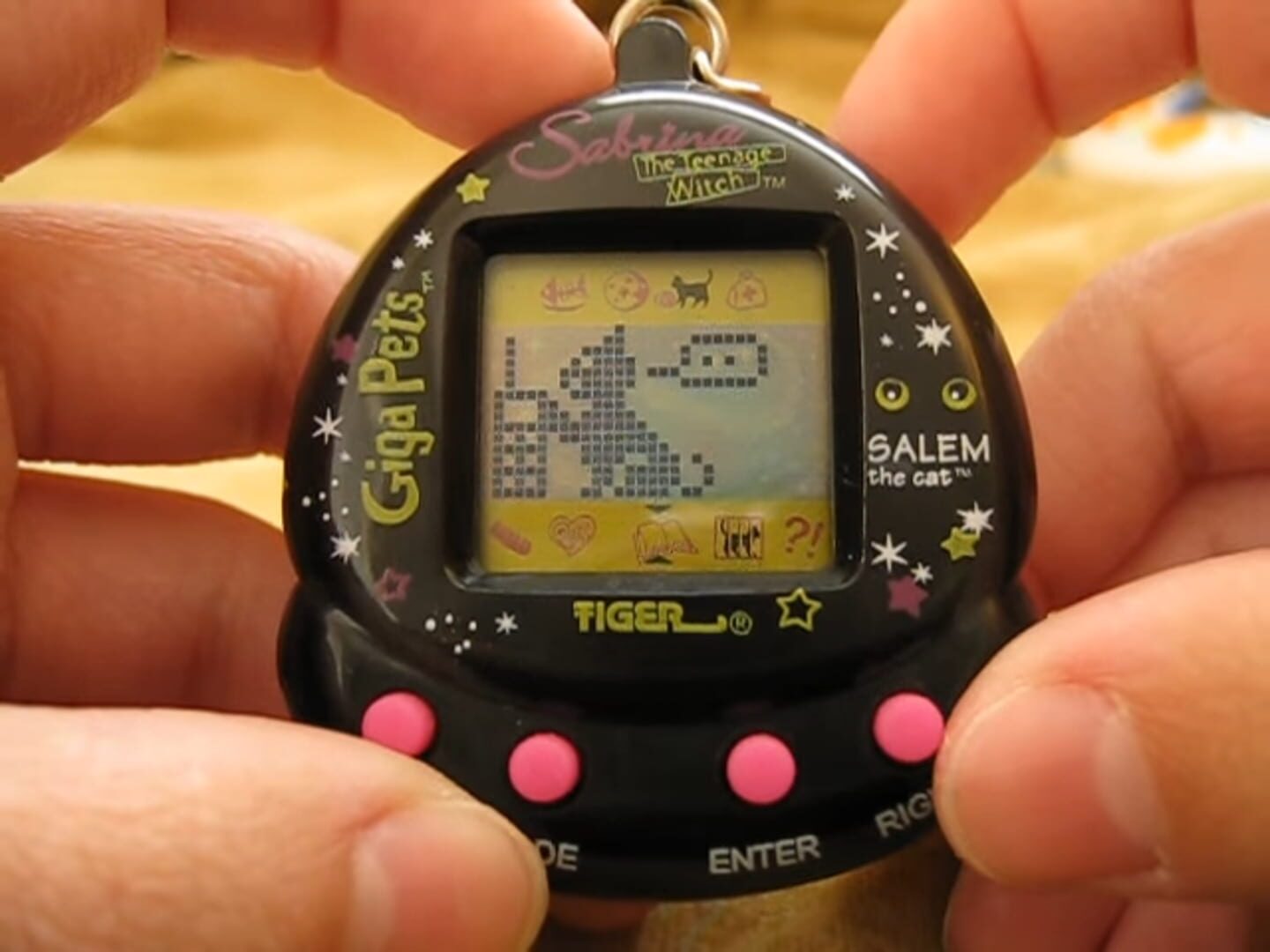 Giga Pets: Sabrina The Teenage Witch - Salem The Cat