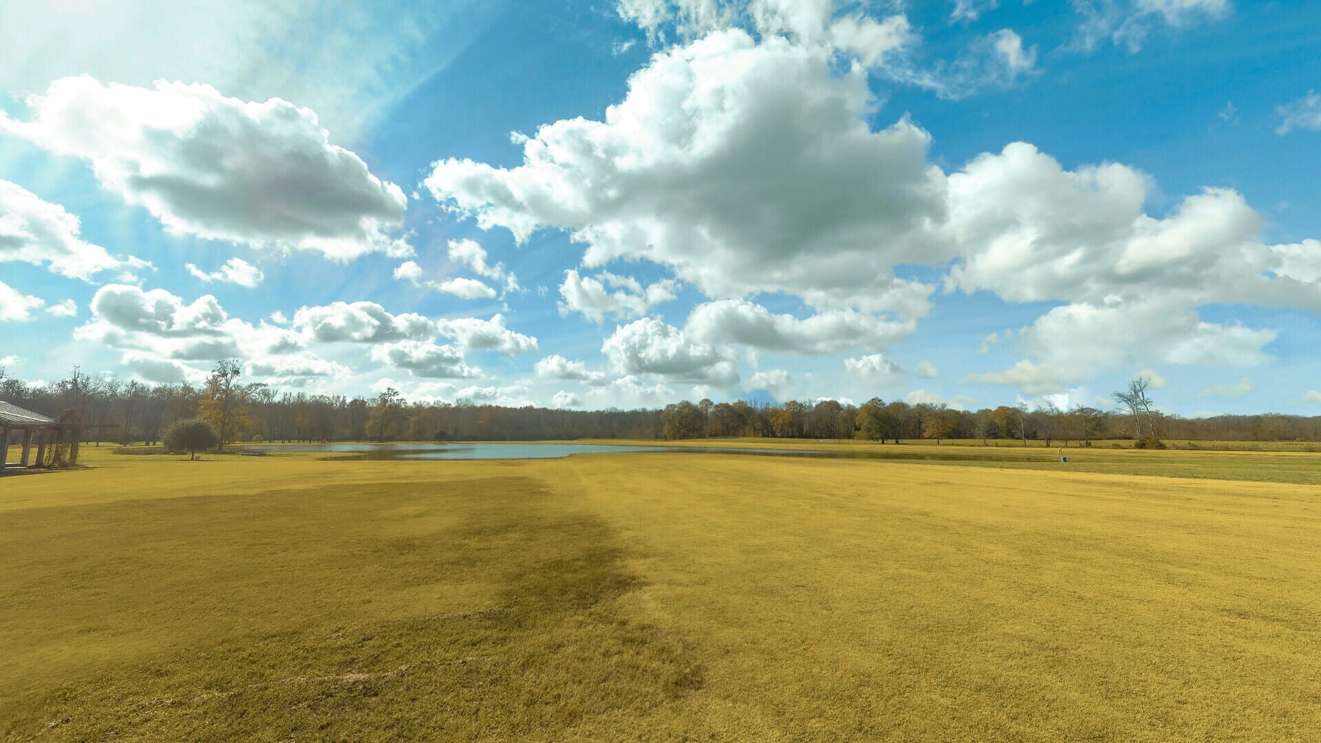 RealFlight Evolution: Triple Tree 3D Flight Line - Screenshot