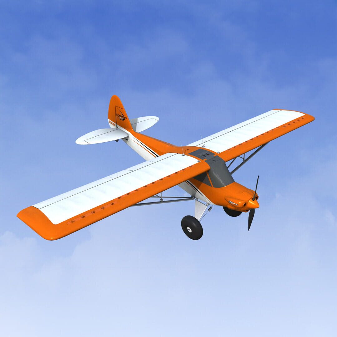 RealFlight Evolution: E-flite Carbon-Z Cub SS 2.1m - Screenshot