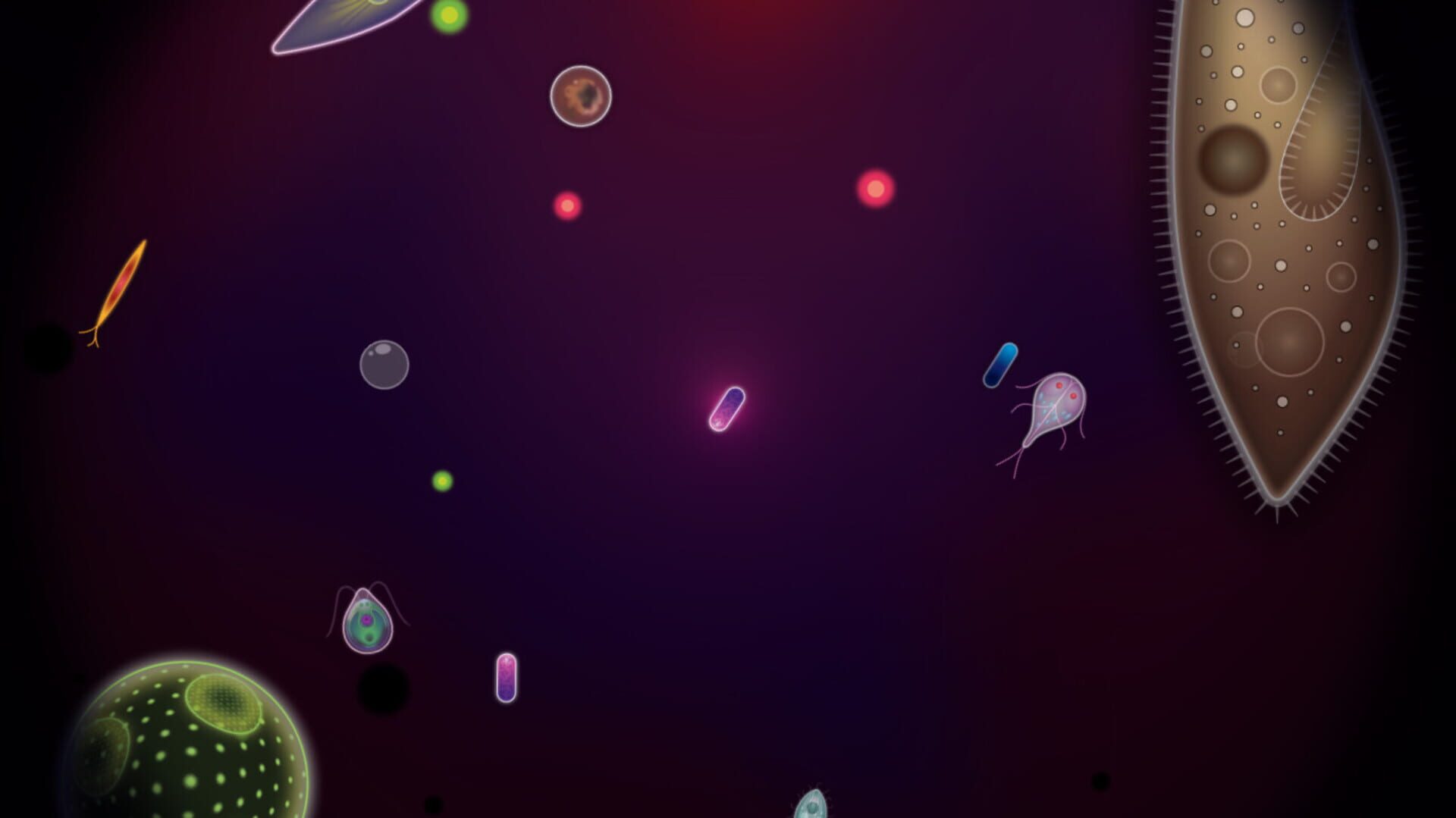 Symbio - Screenshot