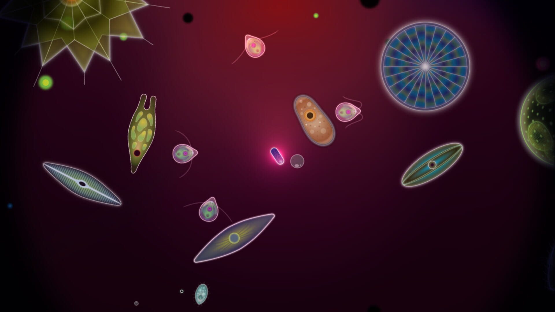 Symbio - Screenshot