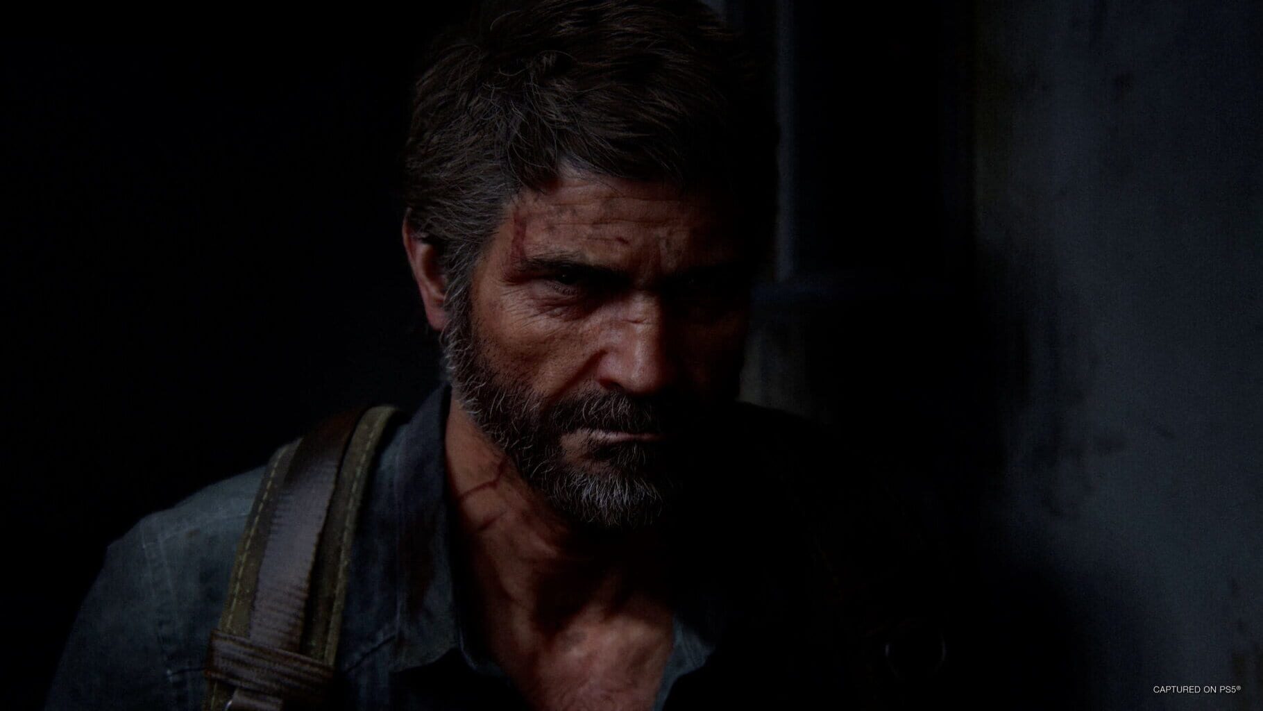 The Last of Us Part II: Remastered screenshots