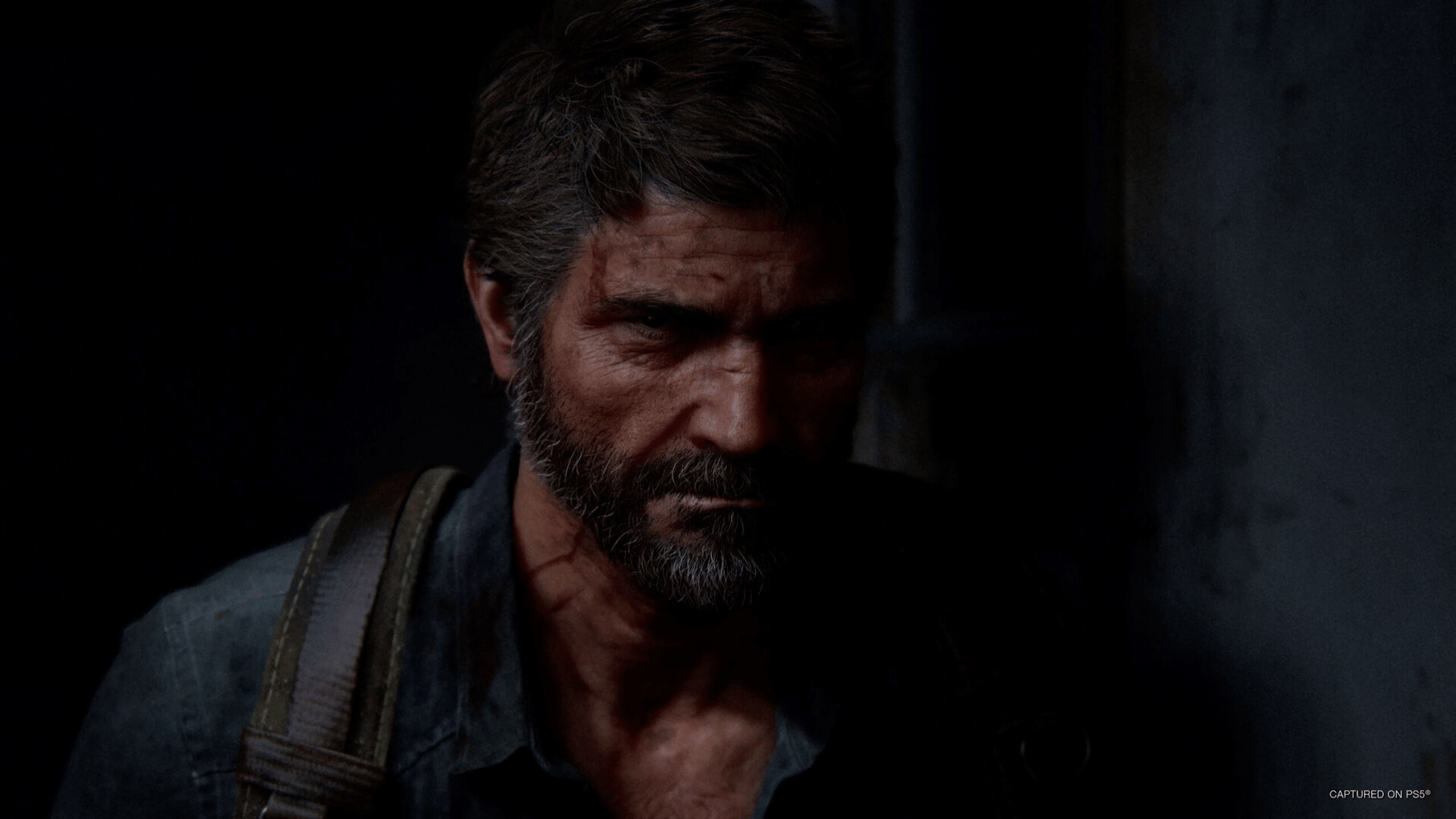 The Last of Us Part II: Remastered screenshot